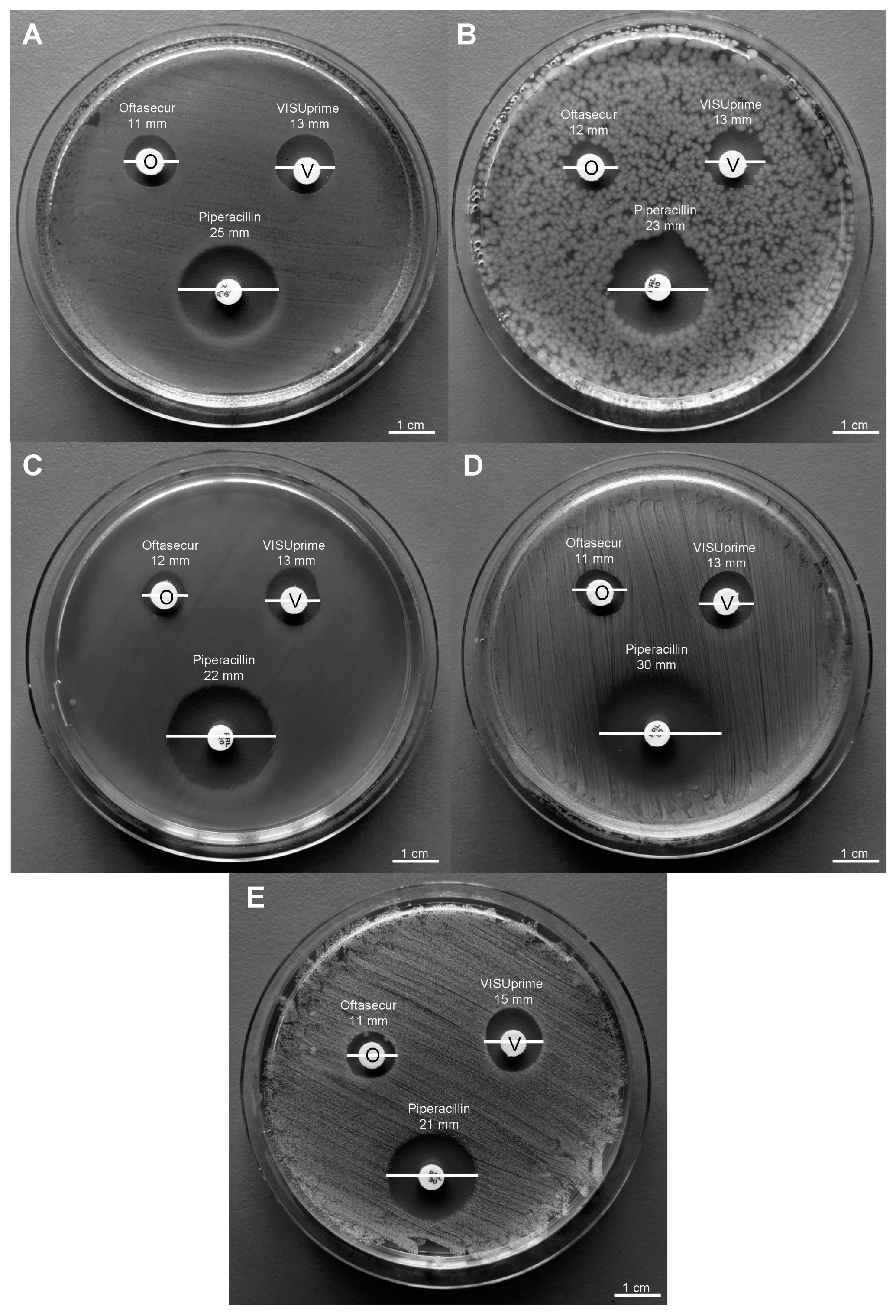 Microorganisms 11 00503 g002 Microorganisms 11 00503 g002
