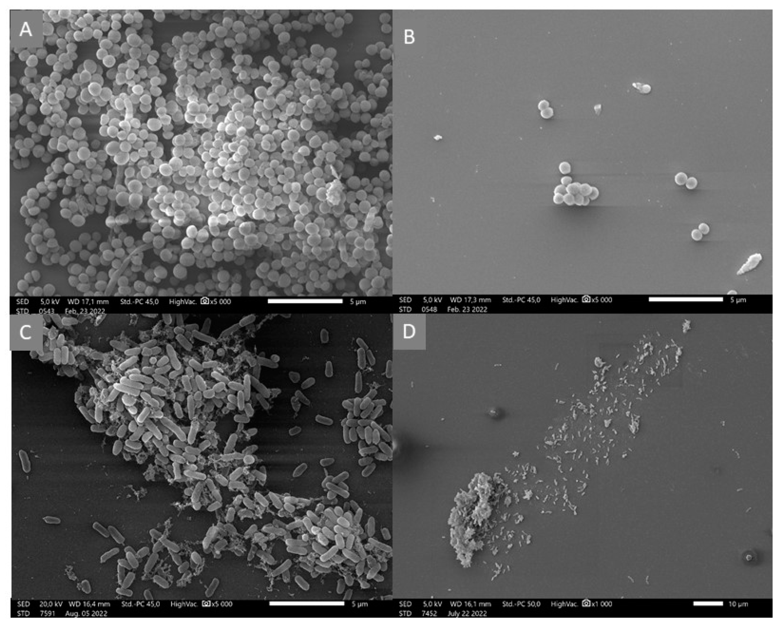 Microorganisms 11 00509 g002 Microorganisms 11 00509 g002
