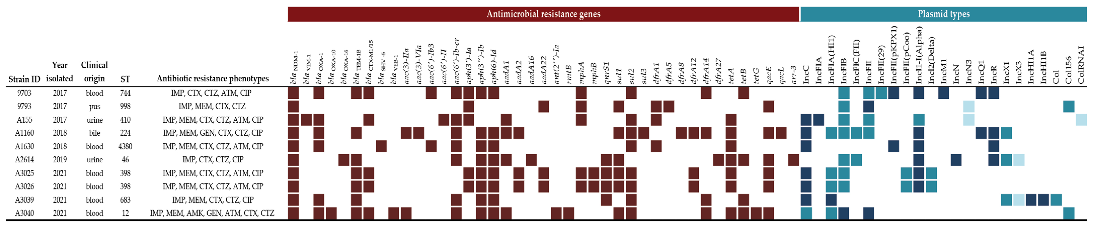 Microorganisms 11 00516 g001