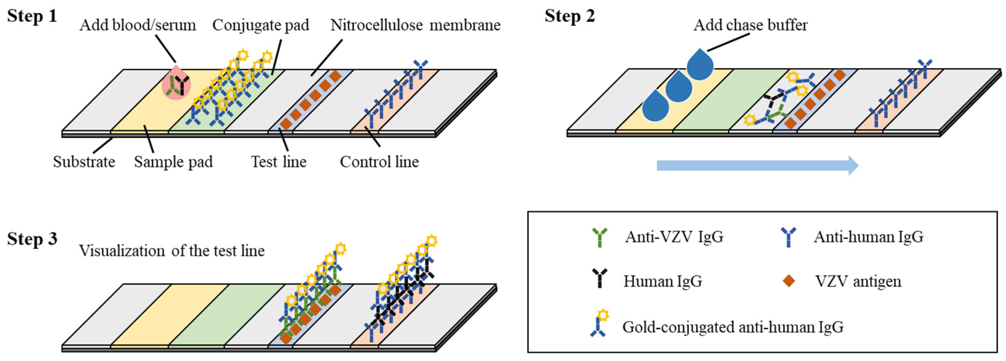 Free FullText Current Methods for the Detection of