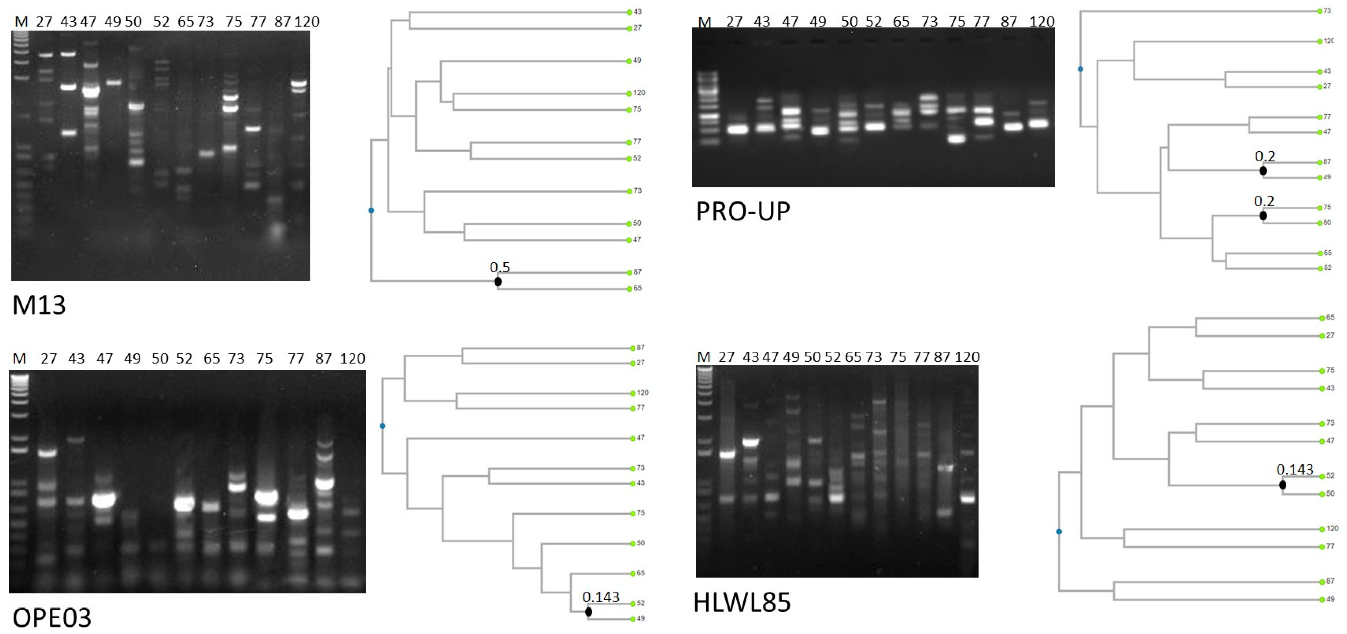 Microorganisms 11 00521 g001