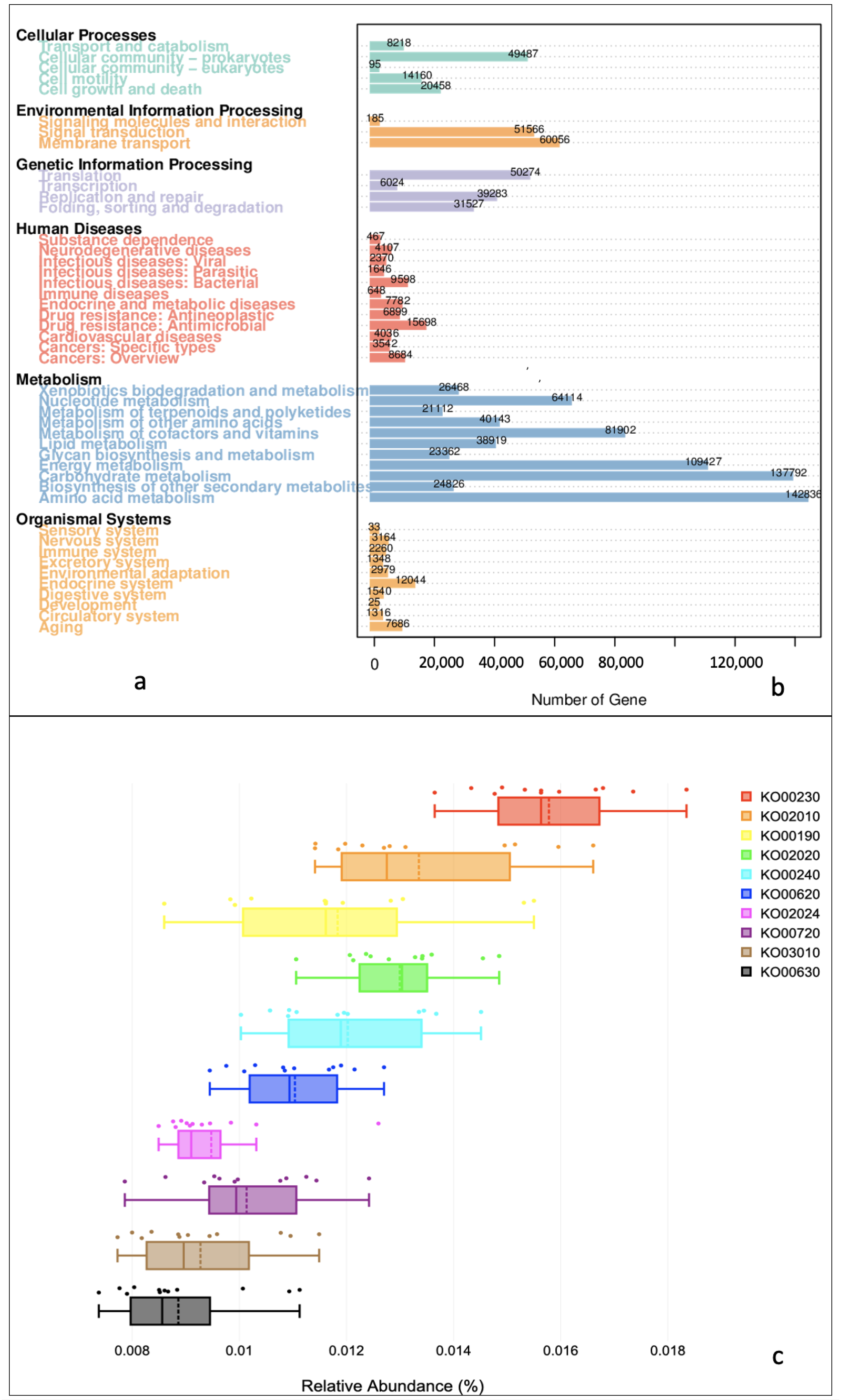 Microorganisms 11 00531 g005 Microorganisms 11 00531 g005