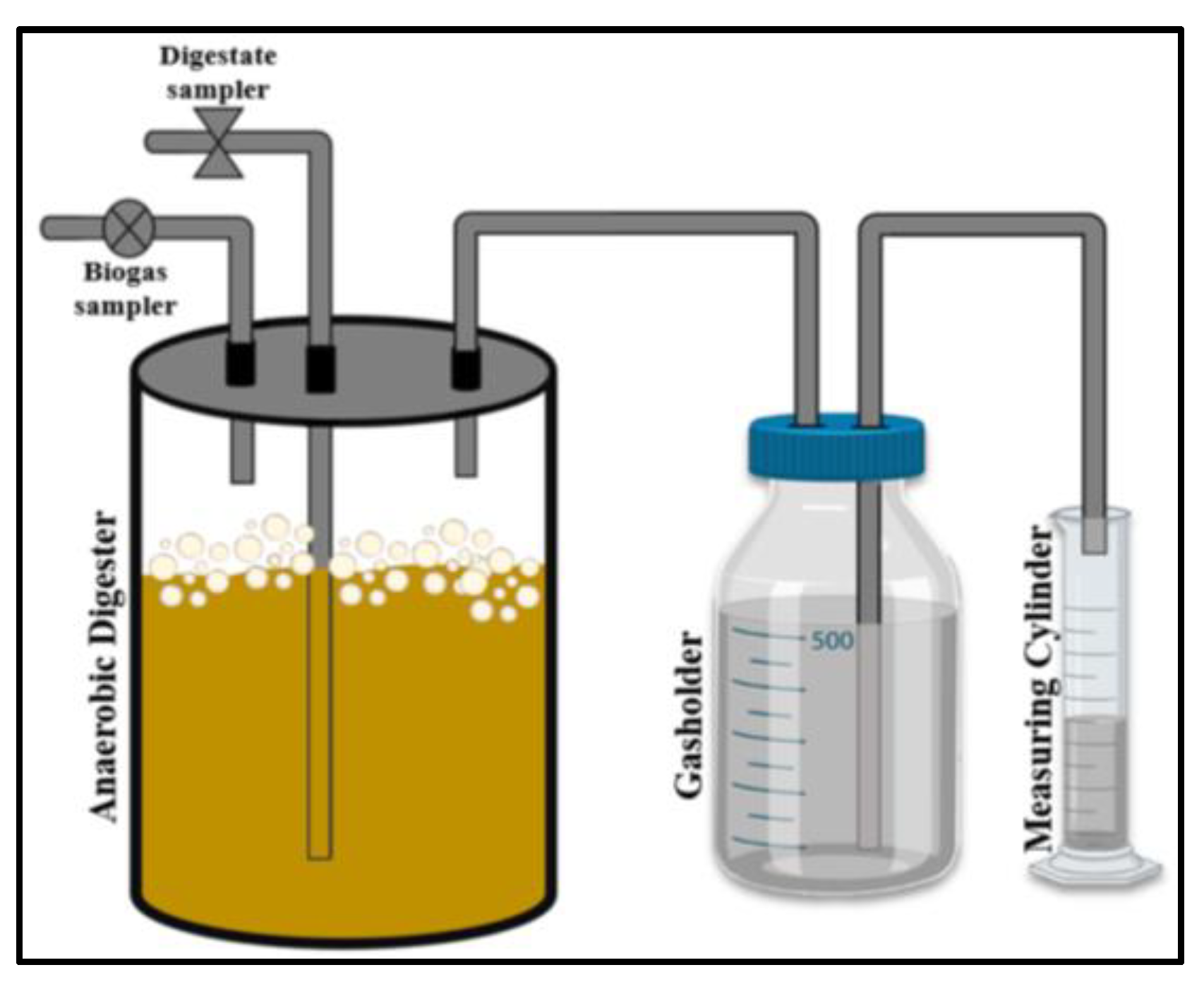 Microorganisms 11 00532 g001