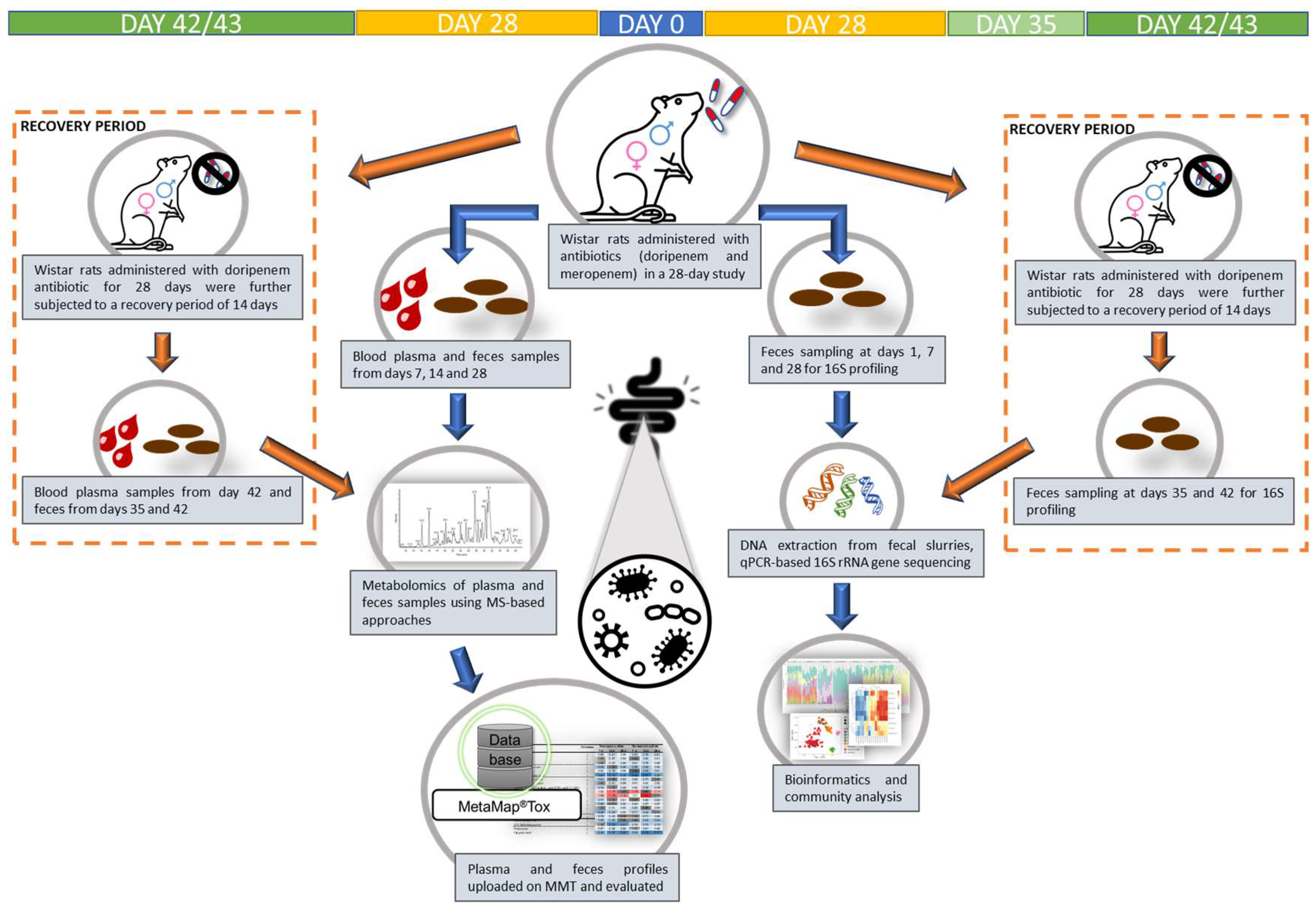 Microorganisms 11 00533 g001