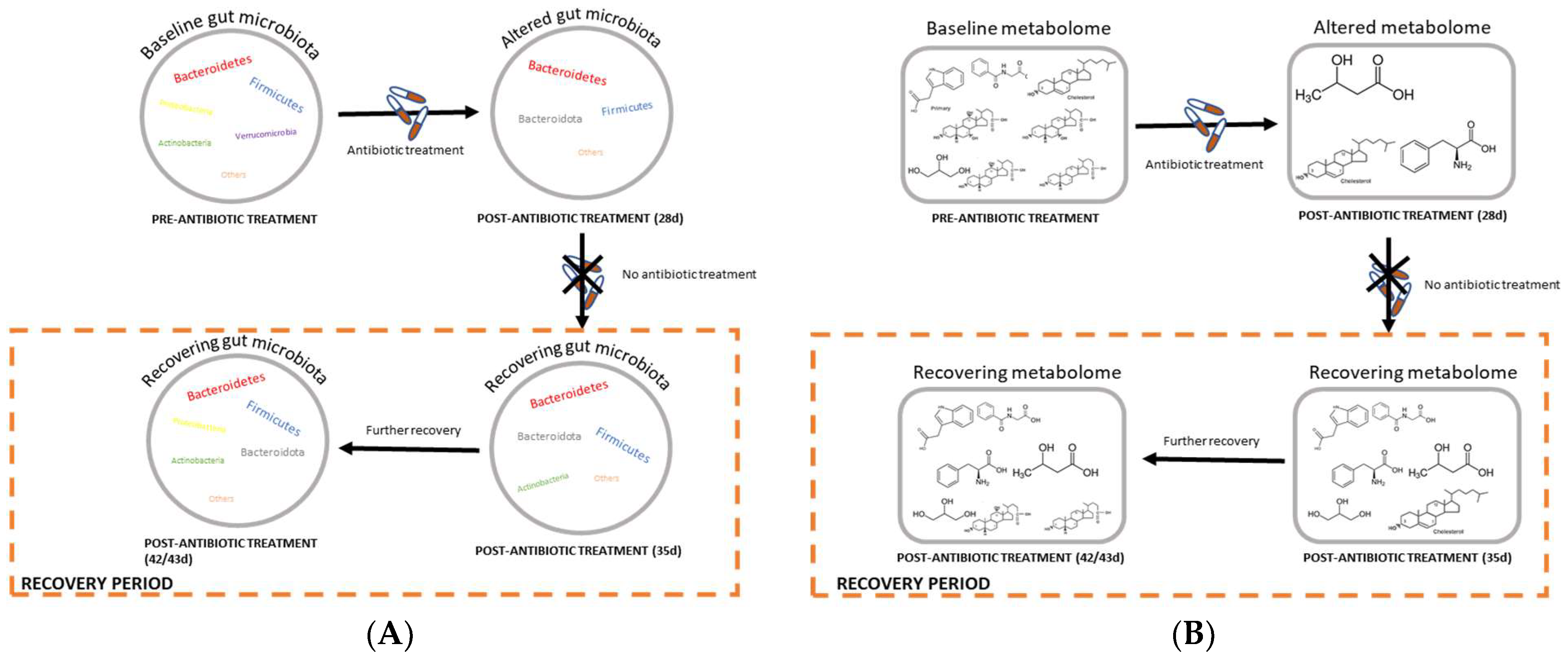 Microorganisms 11 00533 g010
