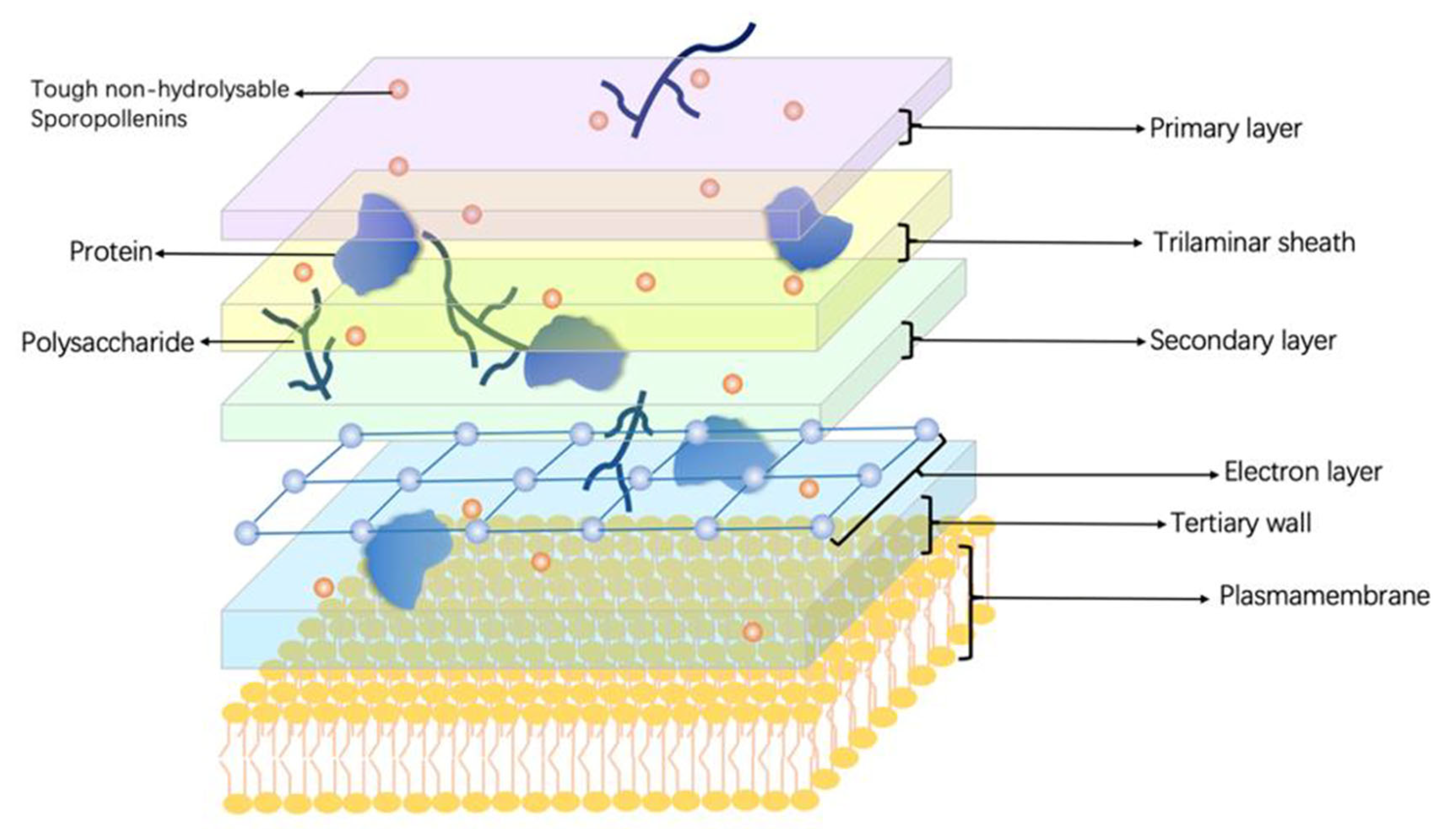 Microorganisms 11 00538 g002 Microorganisms 11 00538 g002