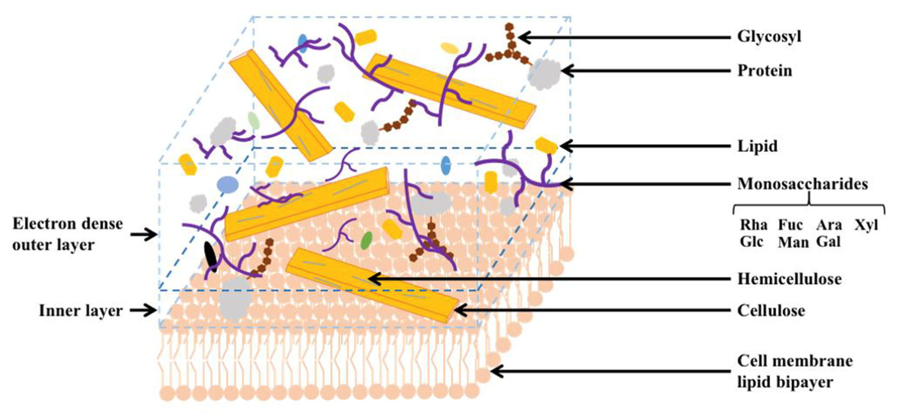 Microorganisms 11 00538 g003 Microorganisms 11 00538 g003