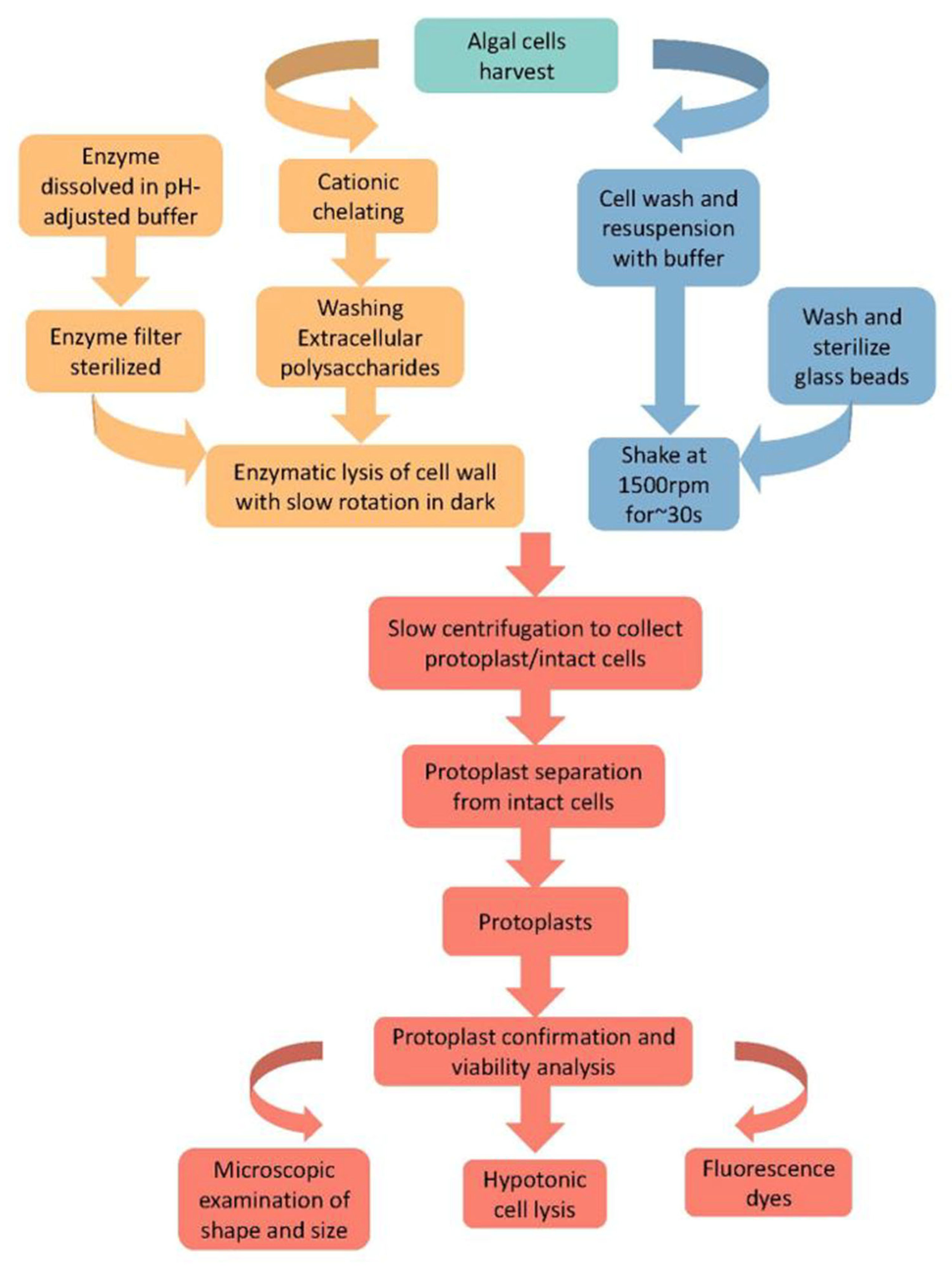 Microorganisms 11 00538 g004 Microorganisms 11 00538 g004