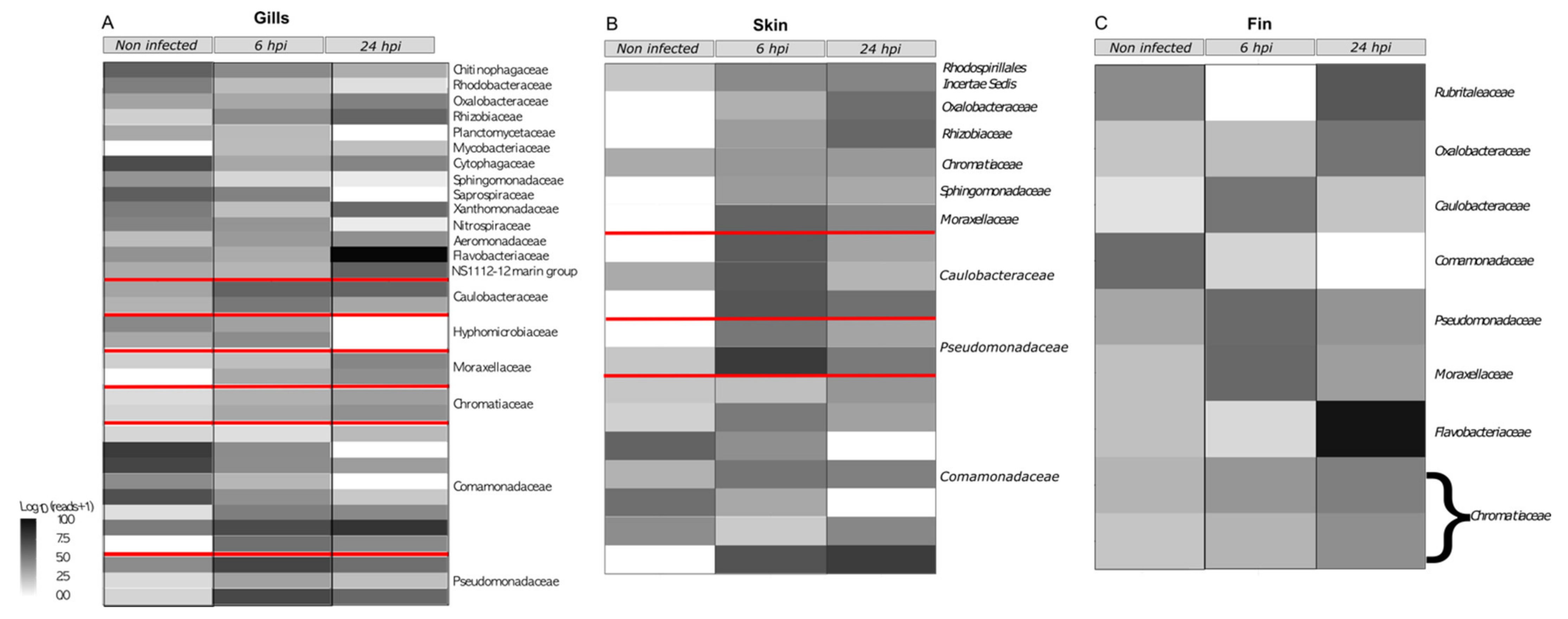 Microorganisms 11 00539 g003