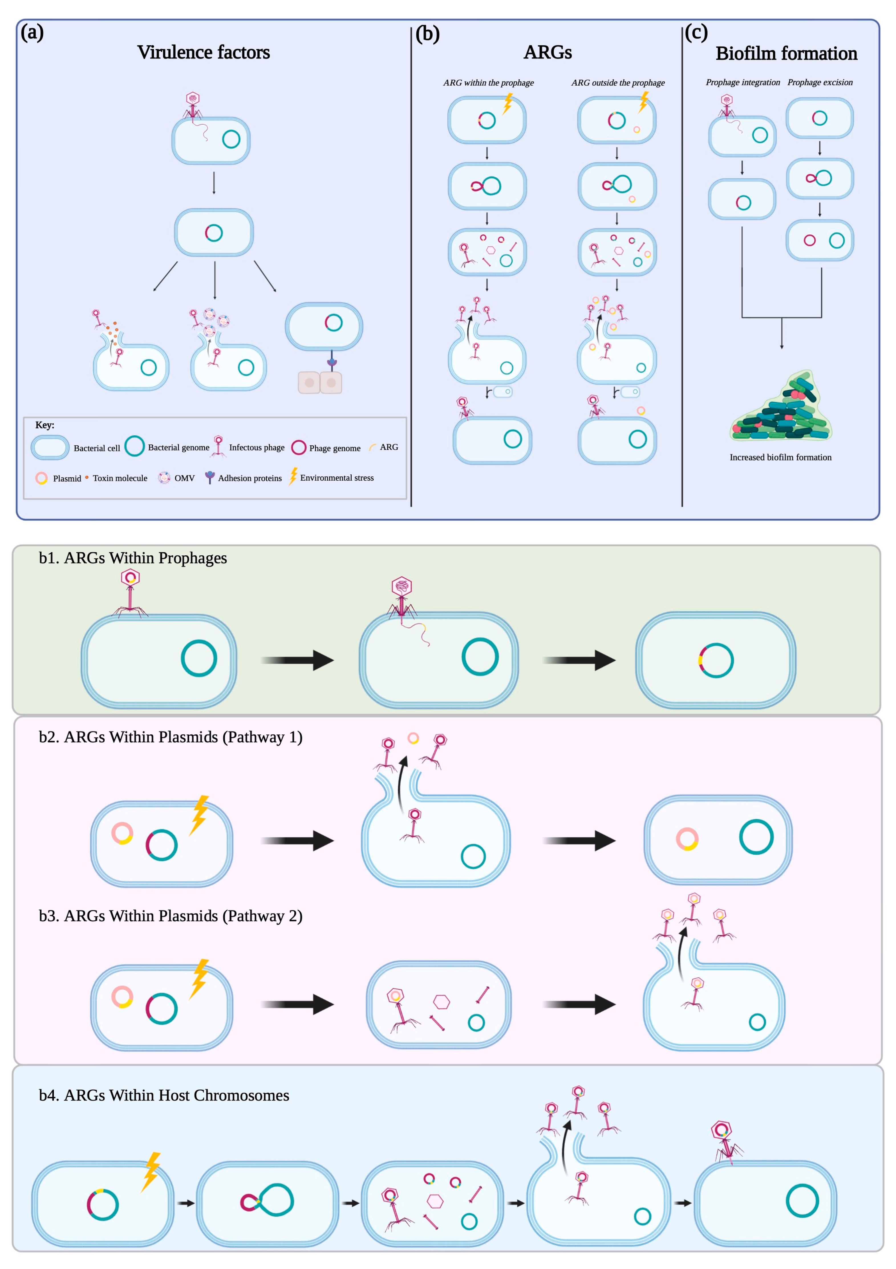 Microorganisms 11 00541 g001