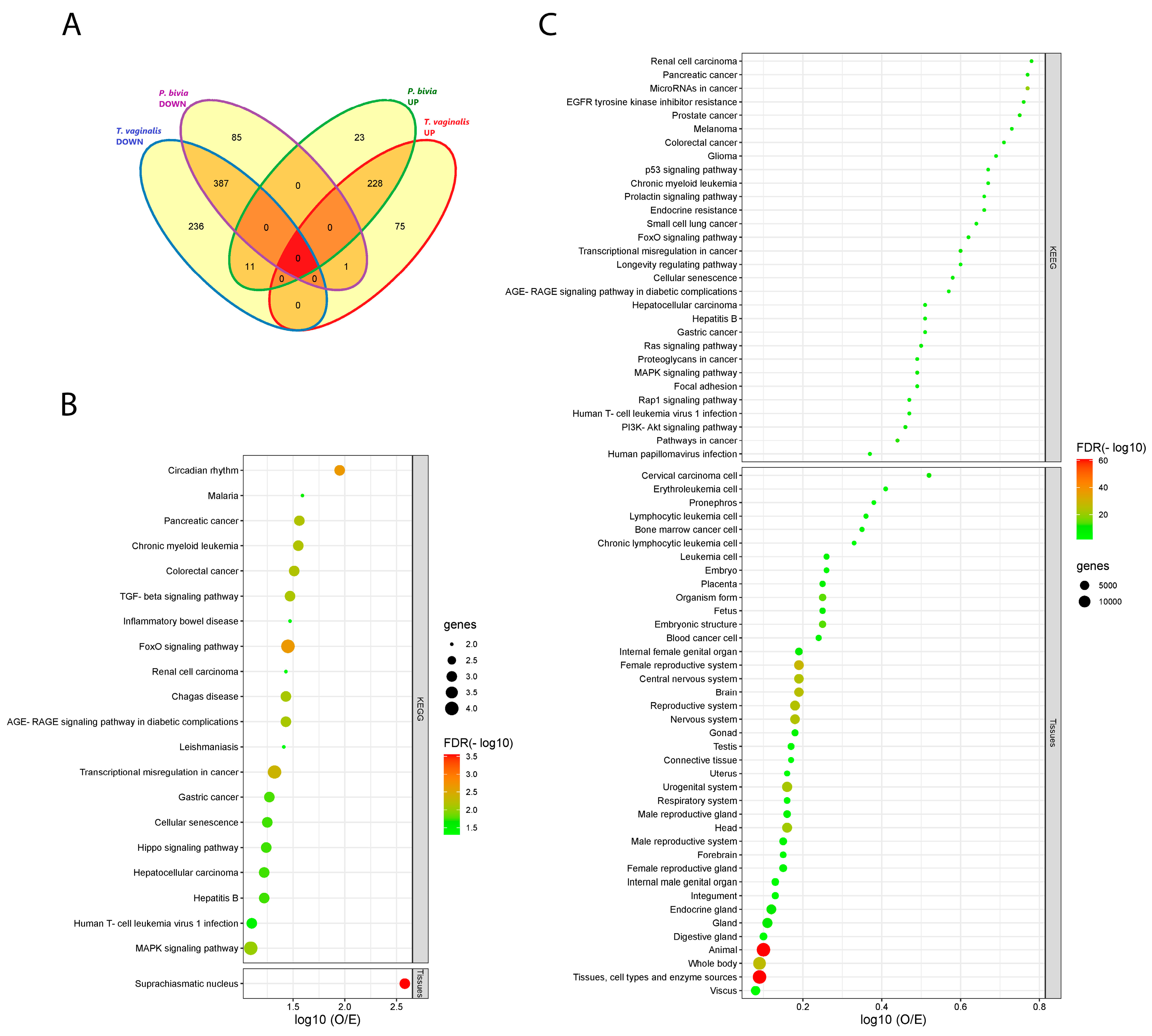 Microorganisms 11 00551 g003 Microorganisms 11 00551 g003