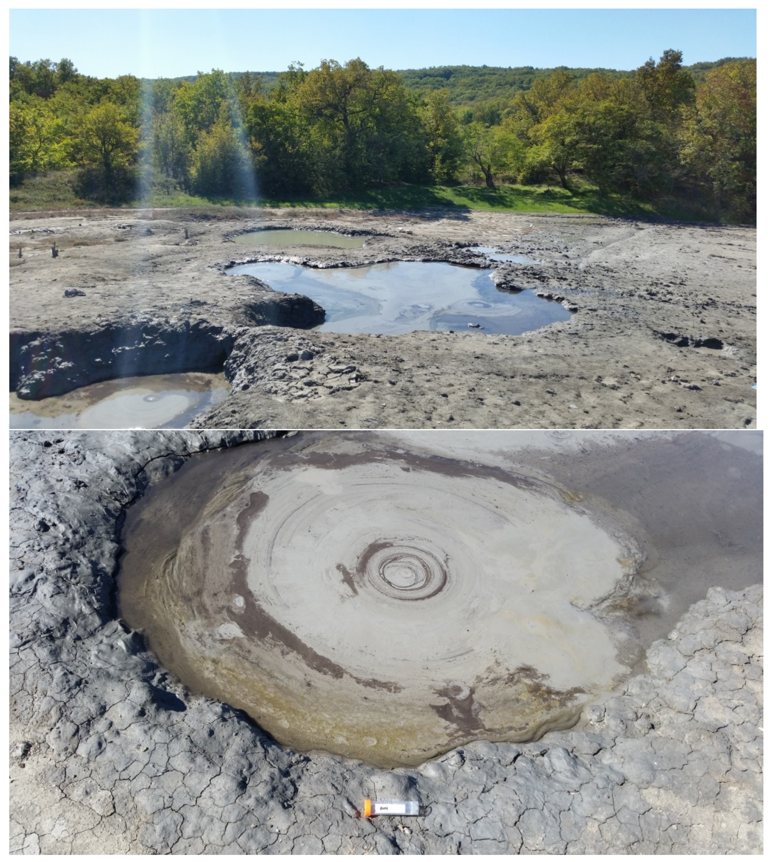 Microorganisms 11 00555 g001 Microorganisms 11 00555 g001