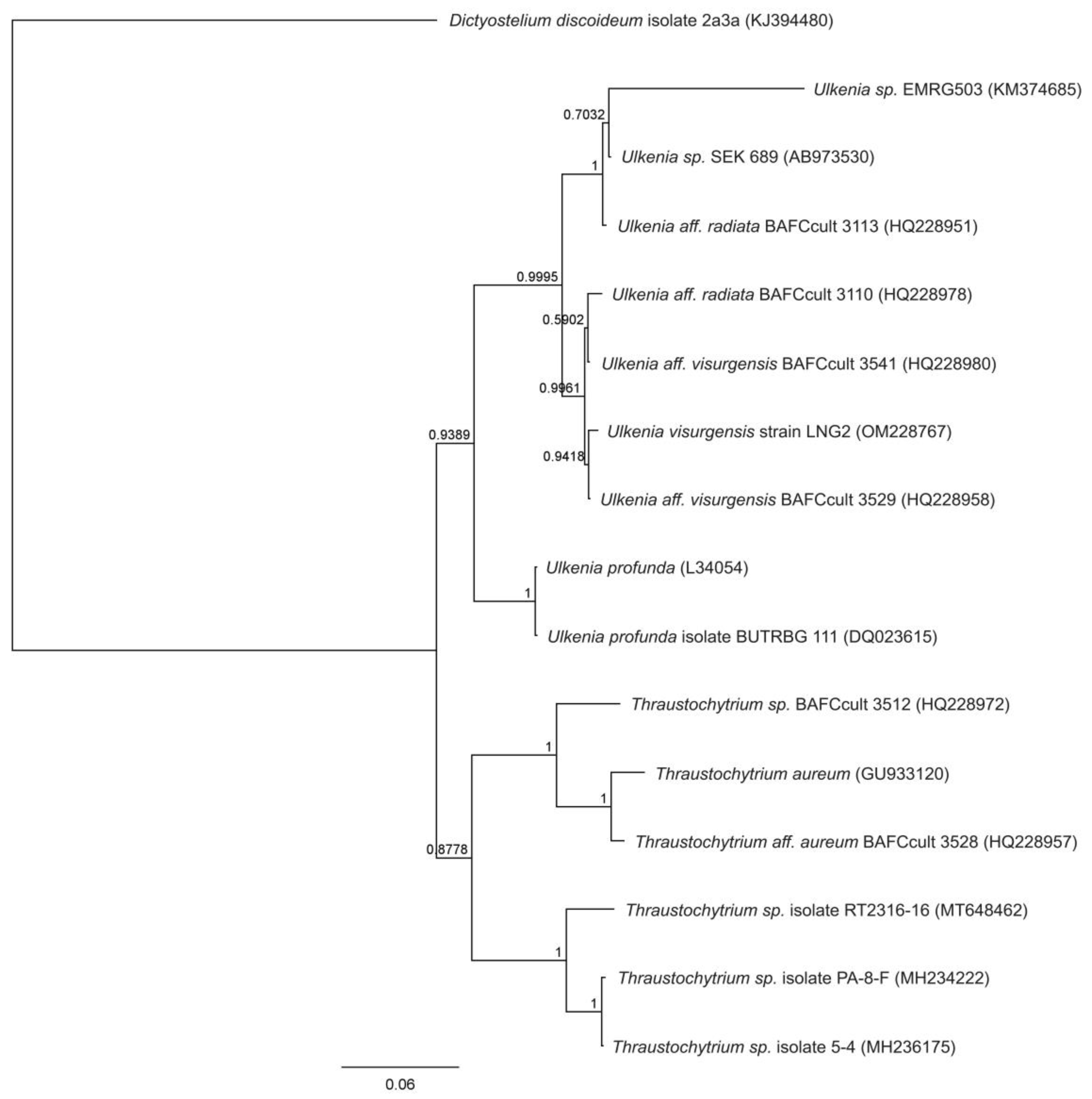 Microorganisms 11 00559 g003