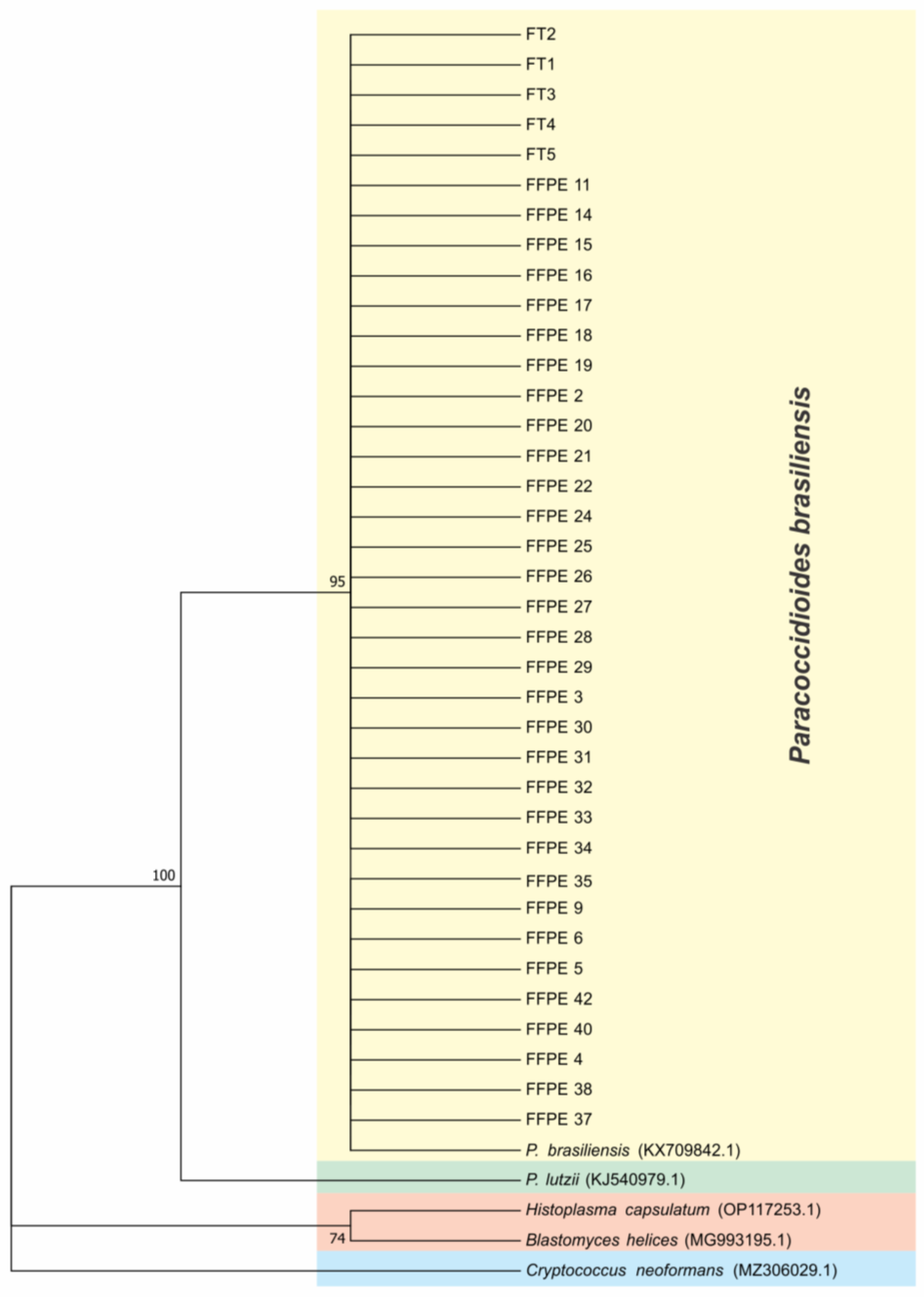 Microorganisms 11 00562 g002 Microorganisms 11 00562 g002