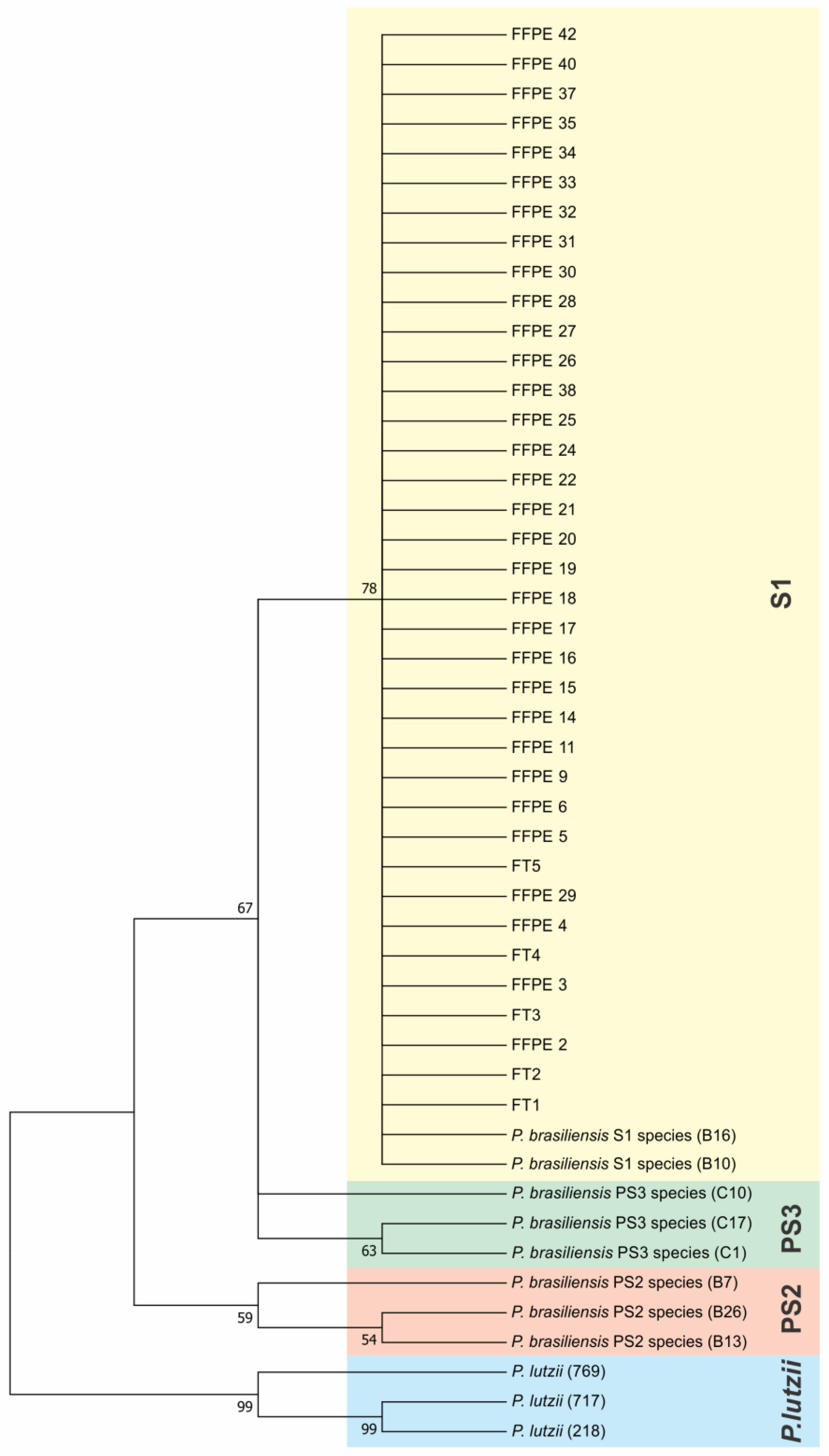 Microorganisms 11 00562 g003 Microorganisms 11 00562 g003