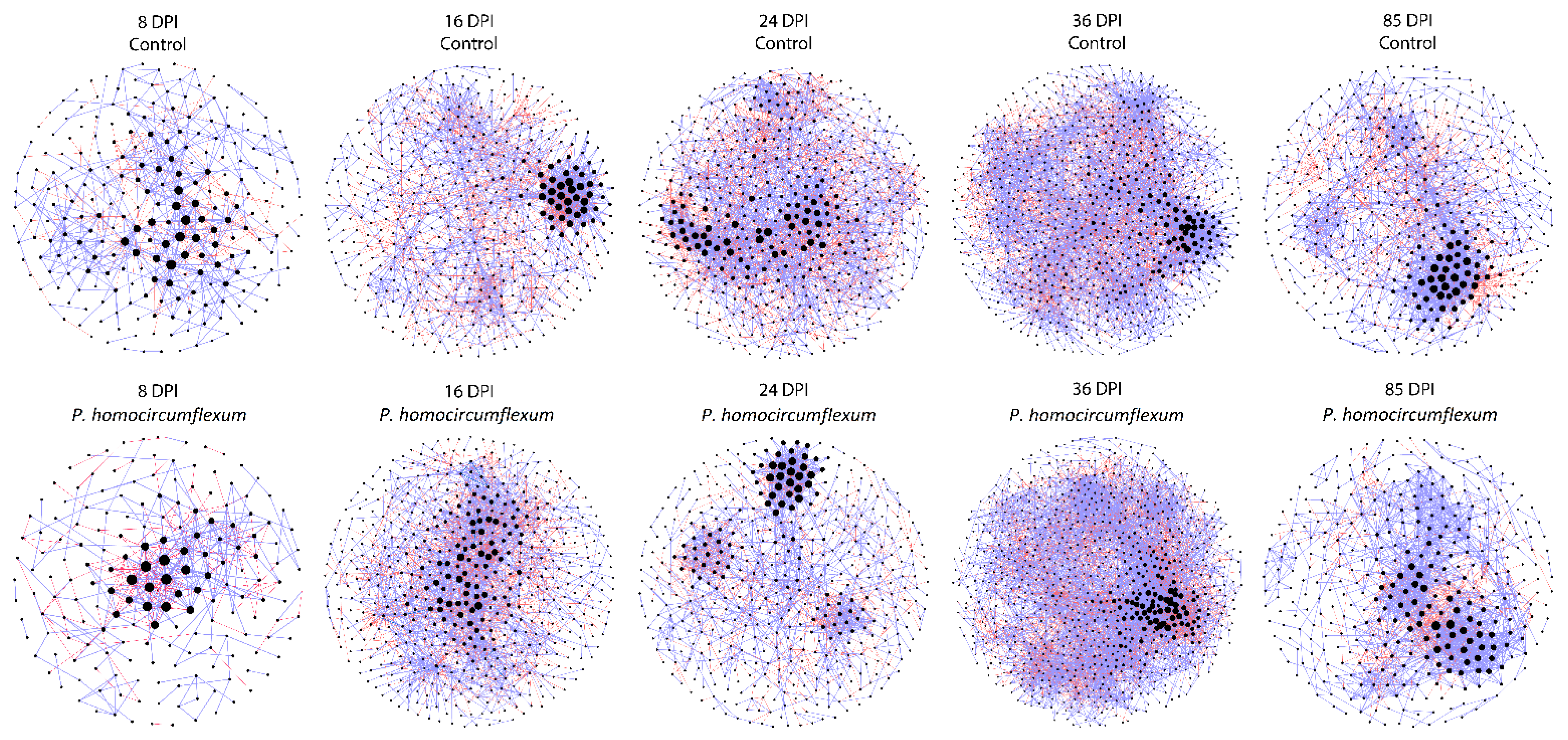 Microorganisms 11 00563 g004 Microorganisms 11 00563 g004