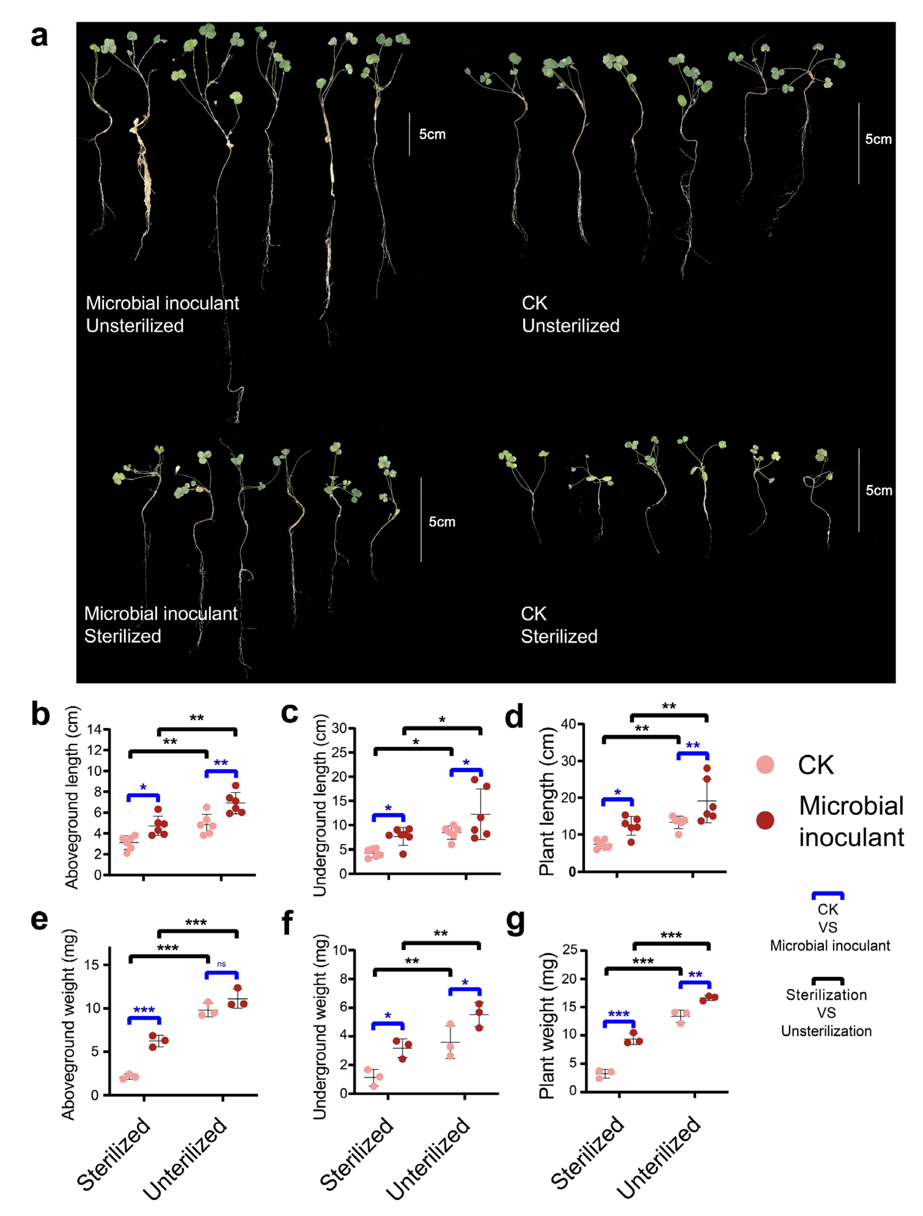 Microorganisms 11 00570 g001