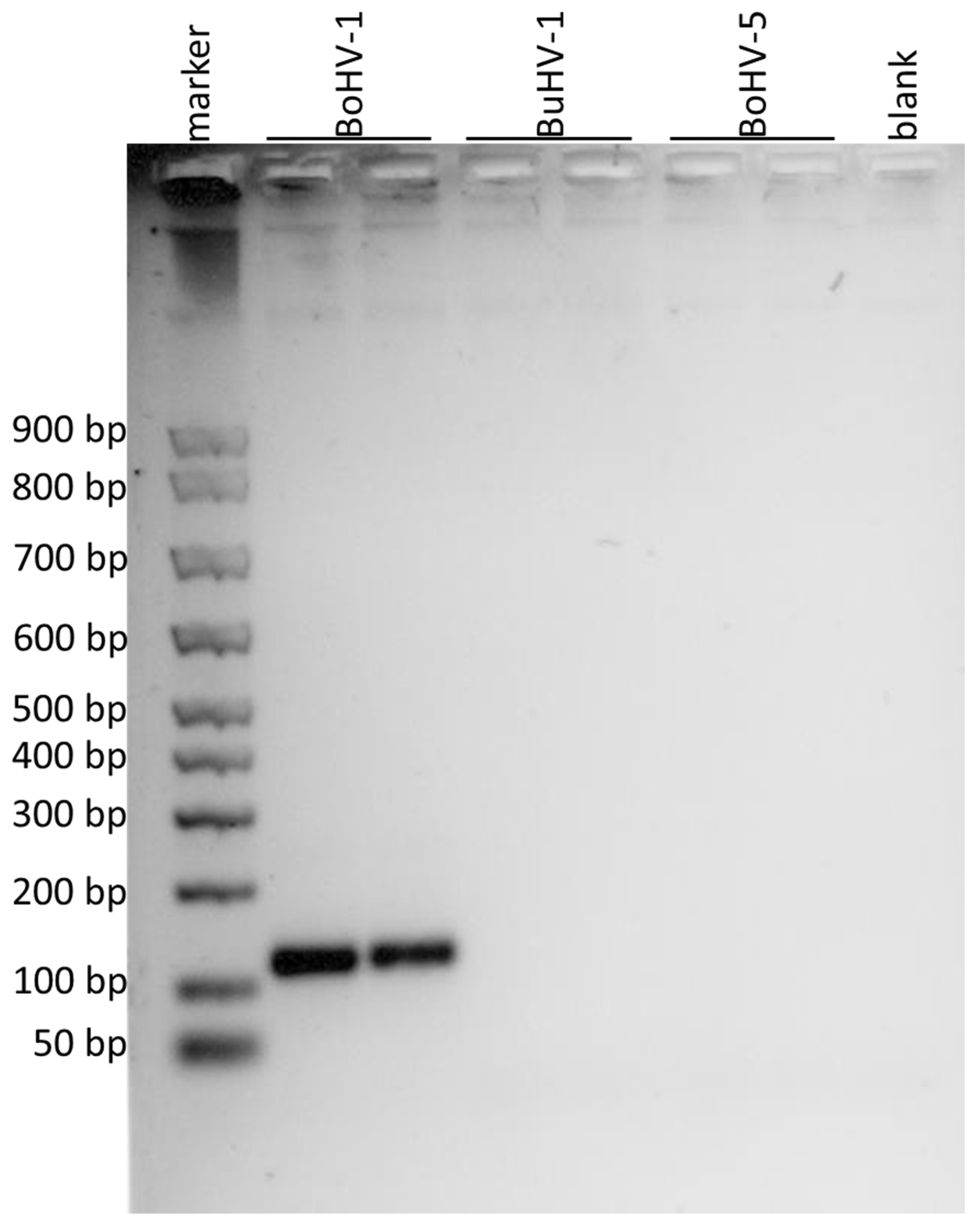 Microorganisms 11 00577 g002