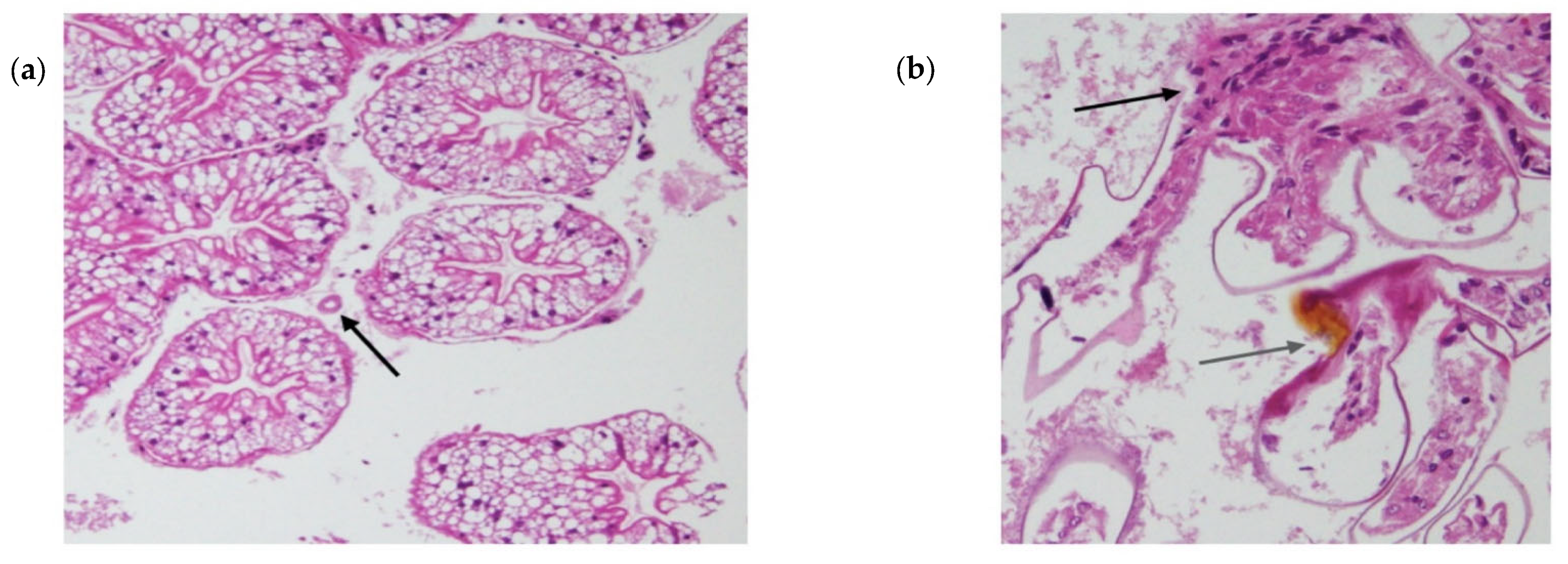 Microorganisms 11 00578 g005a