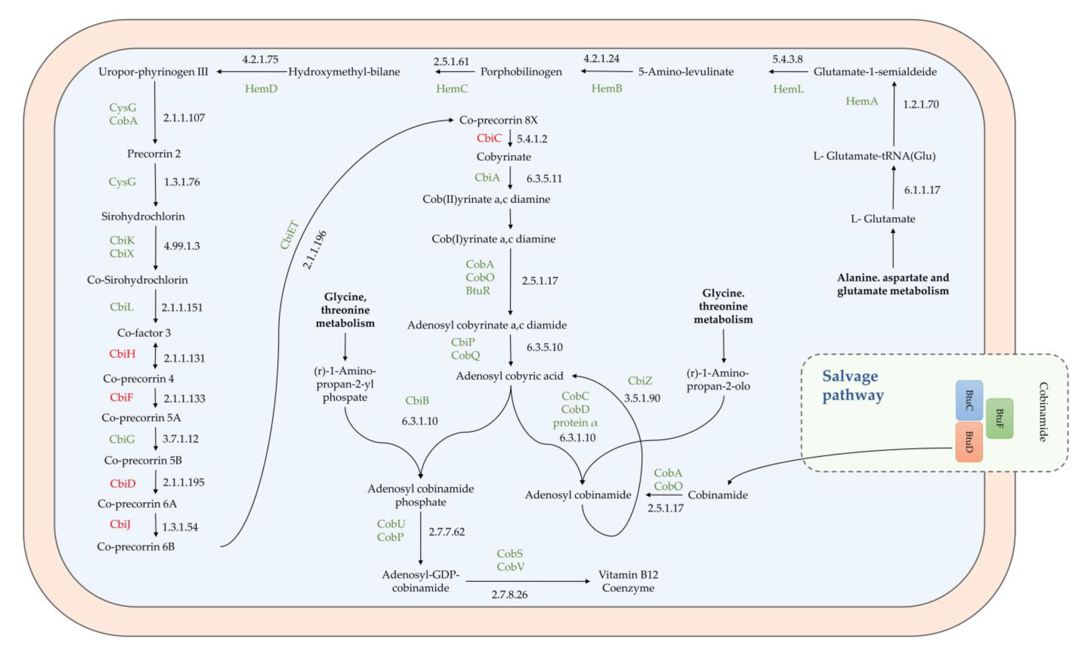 Microorganisms 11 00587 g004