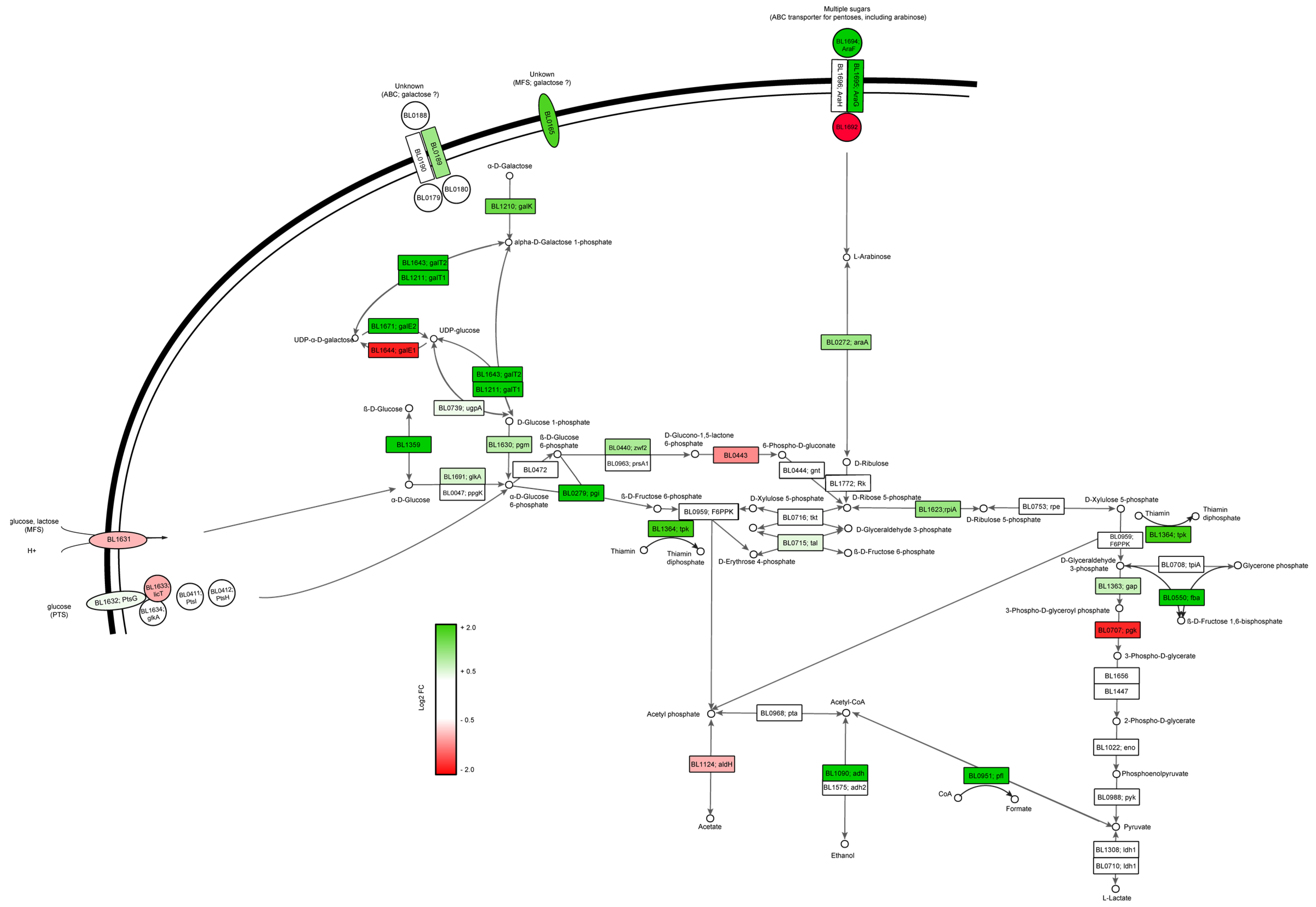Microorganisms 11 00588 g003 Microorganisms 11 00588 g003