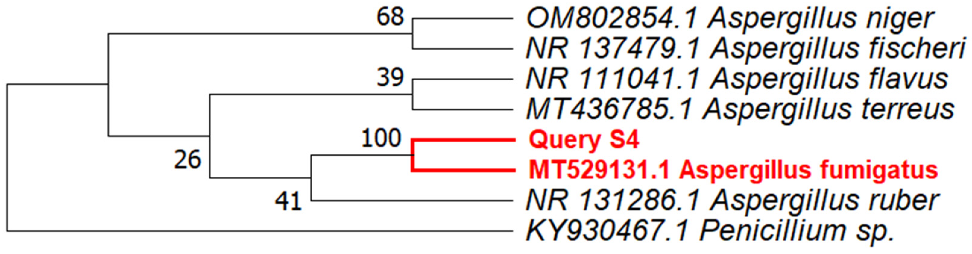 Microorganisms 11 00590 g002 Microorganisms 11 00590 g002
