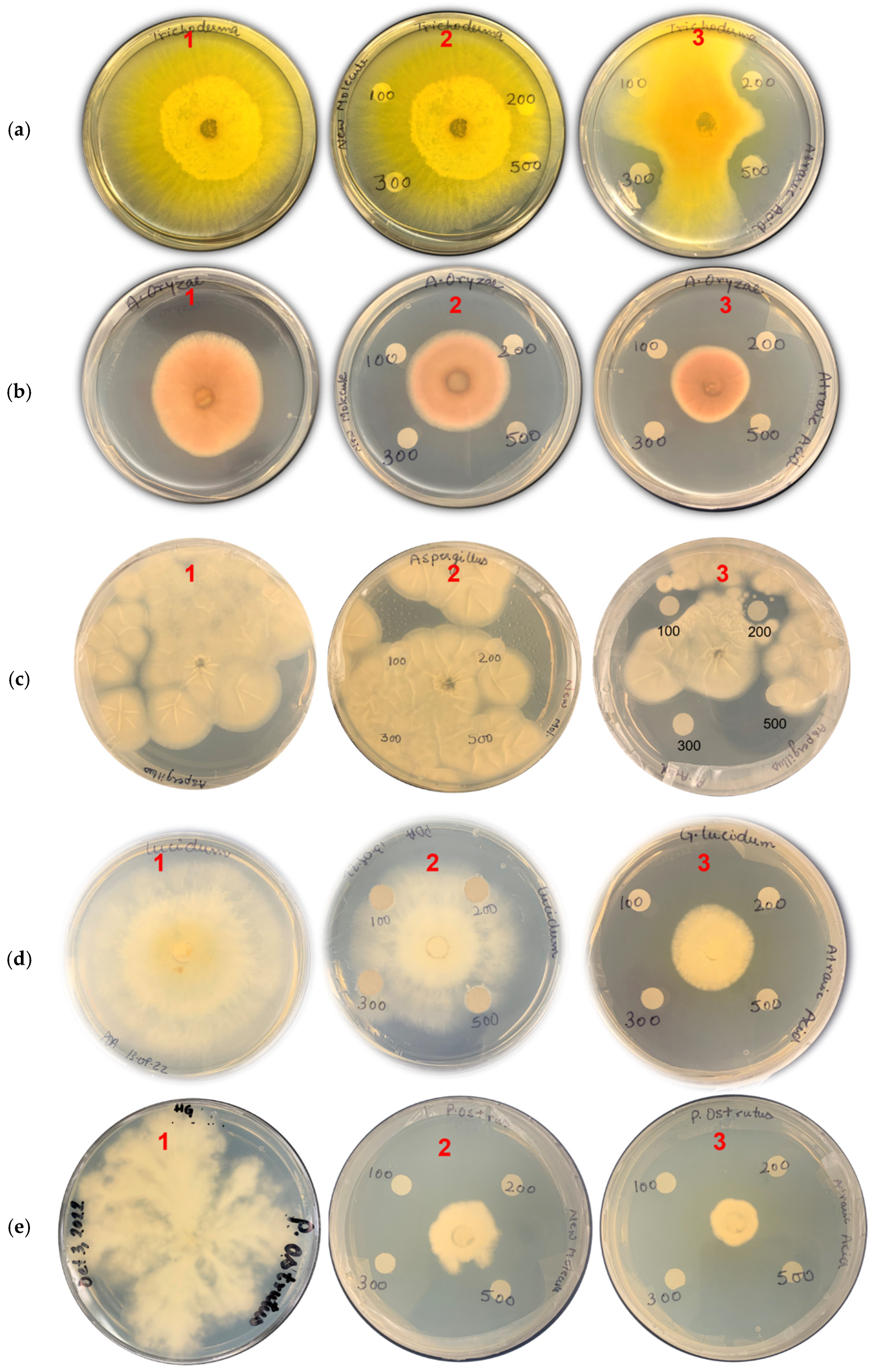 Microorganisms 11 00590 g006 Microorganisms 11 00590 g006