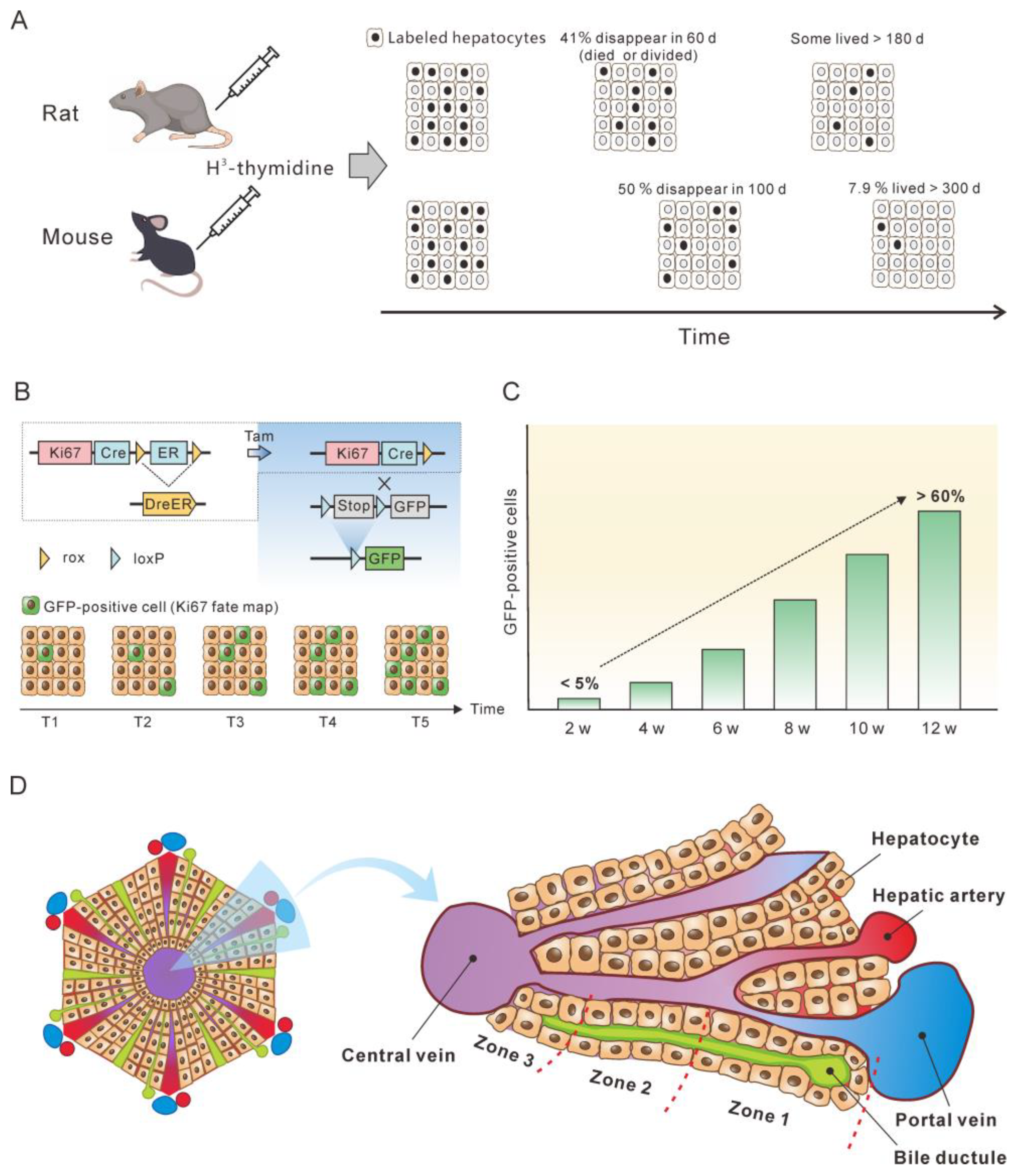 Microorganisms 11 00600 g002