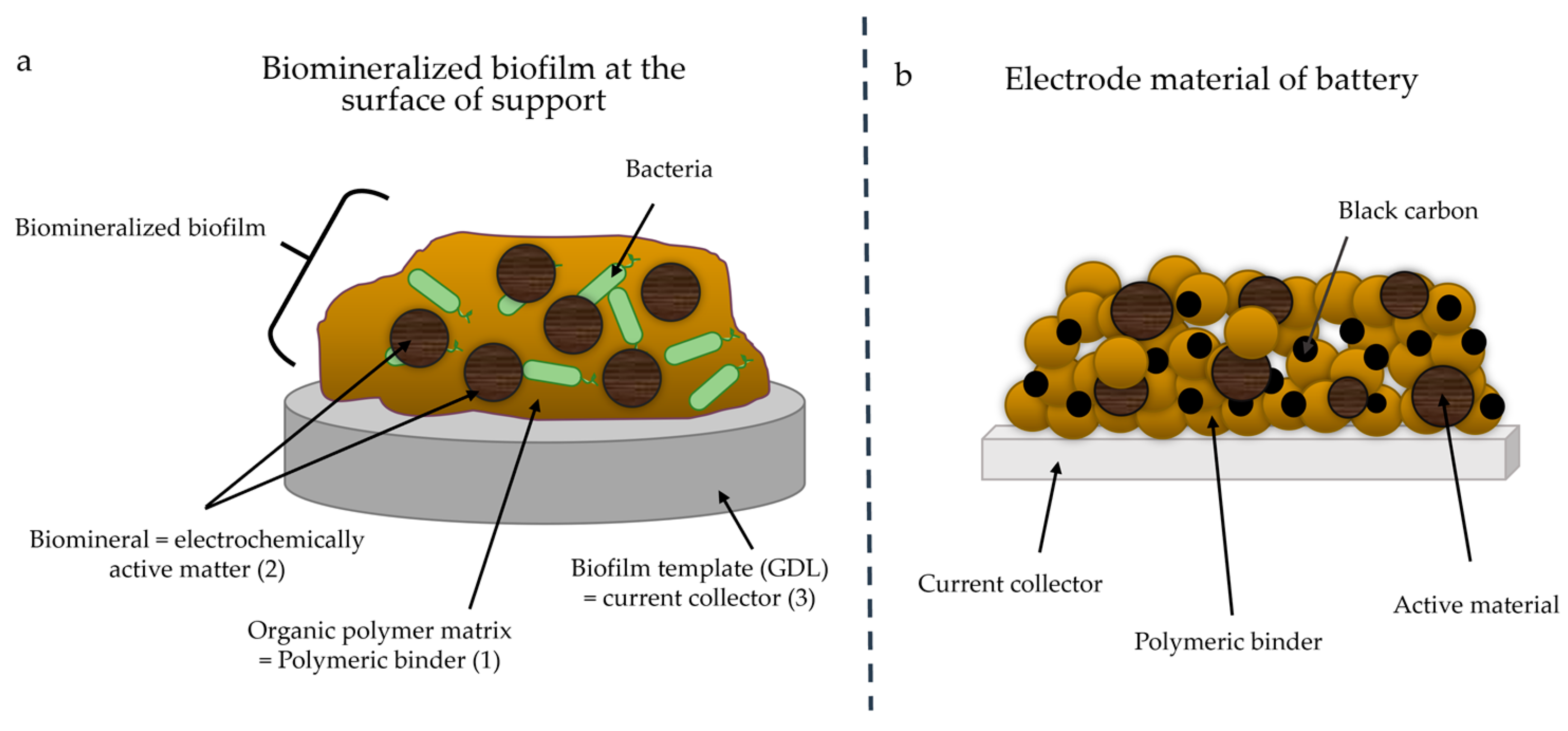 Microorganisms 11 00603 g001