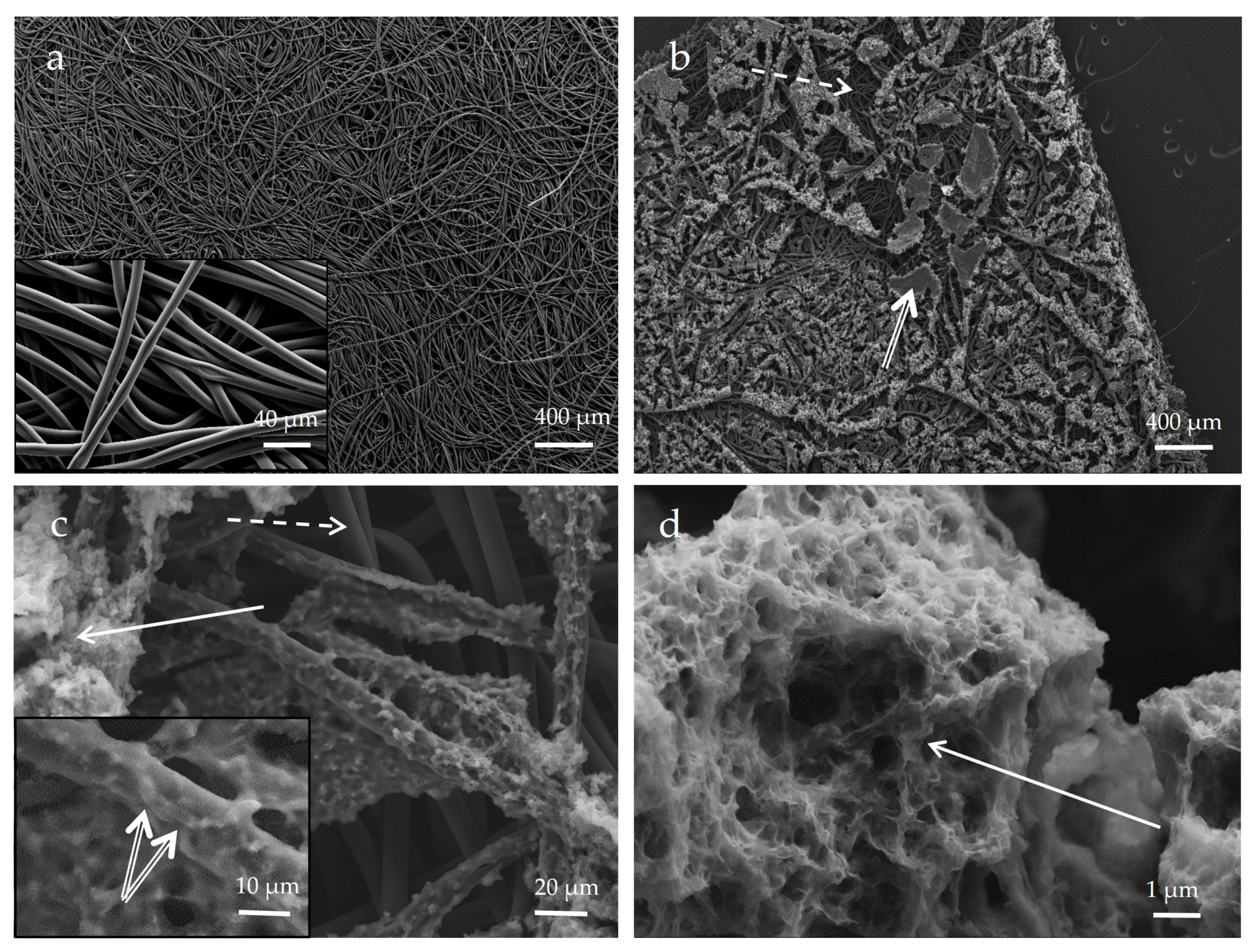 Microorganisms 11 00603 g007