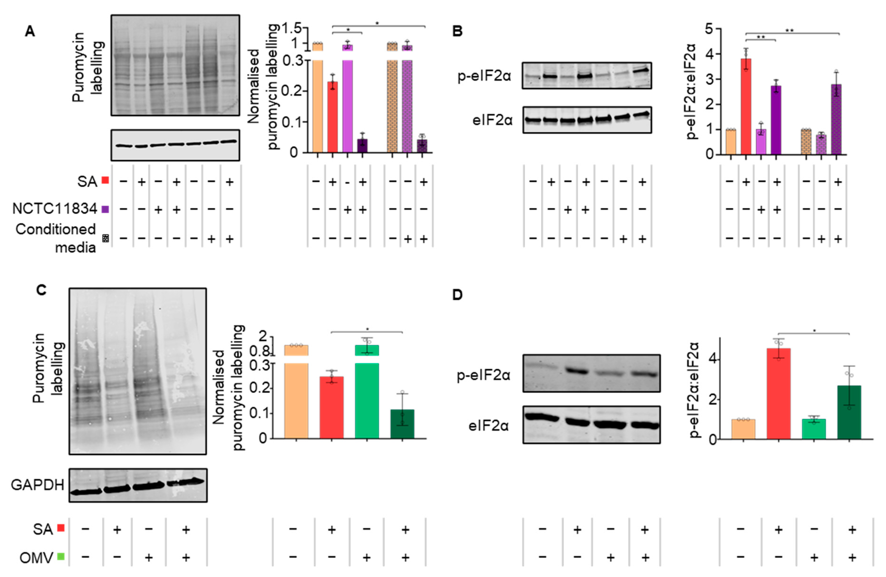 Microorganisms 11 00606 g004