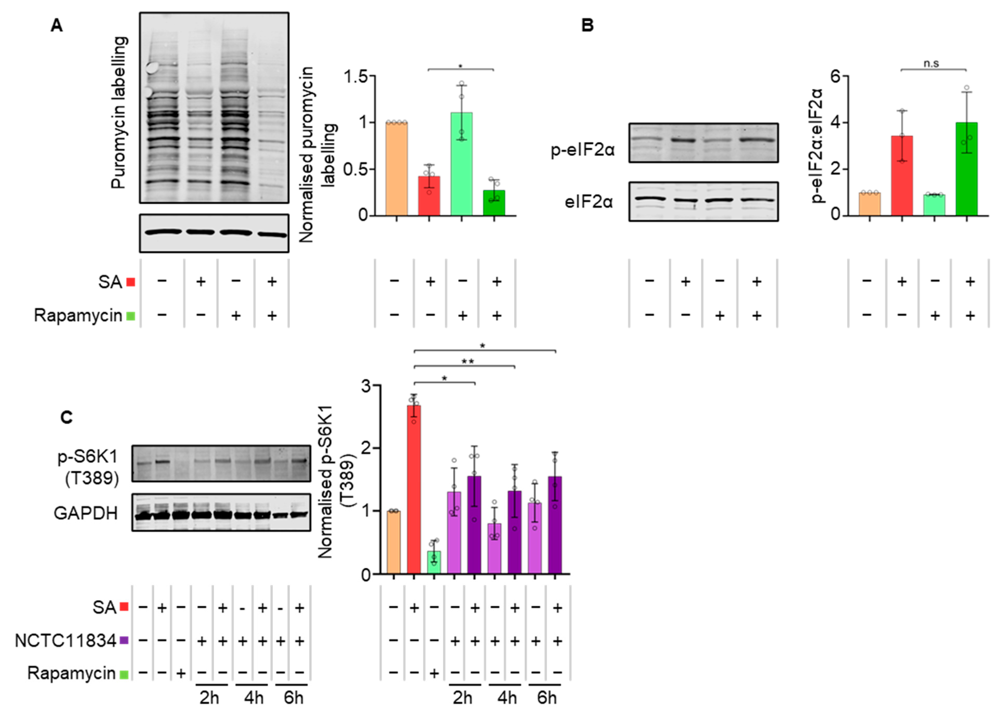 Microorganisms 11 00606 g005
