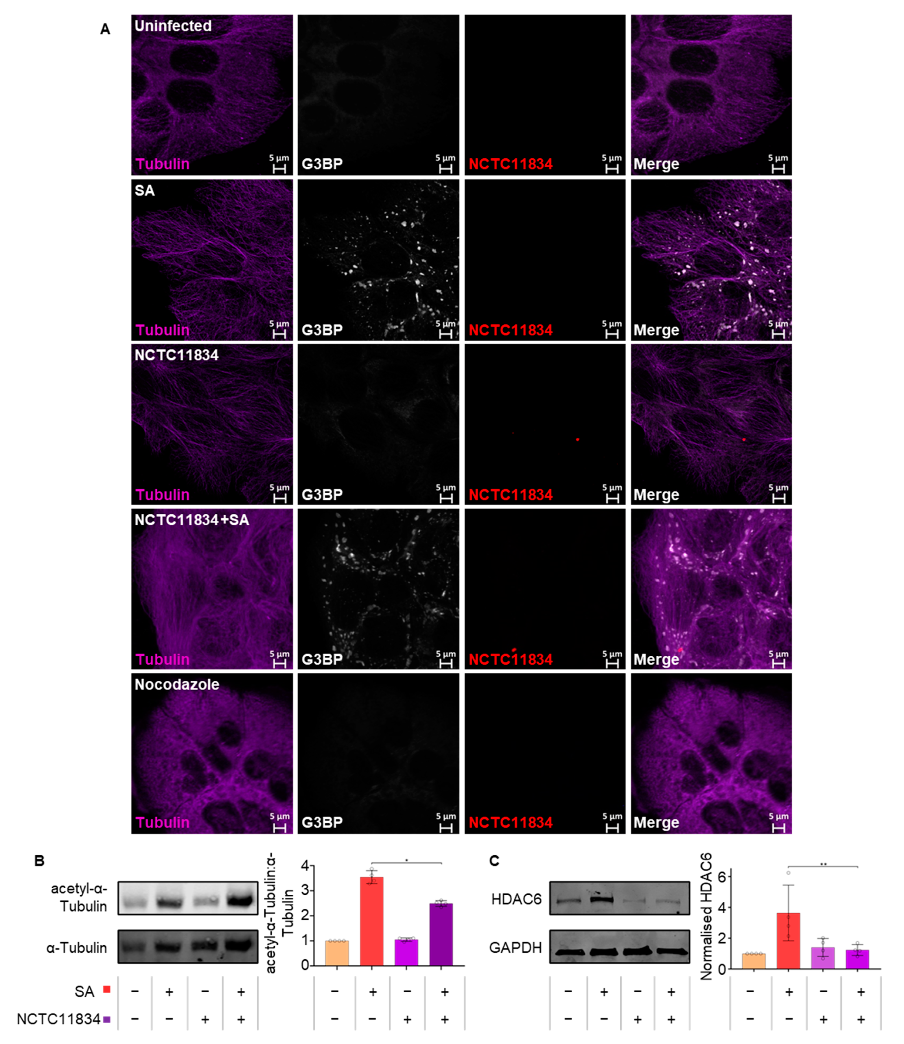 Microorganisms 11 00606 g007