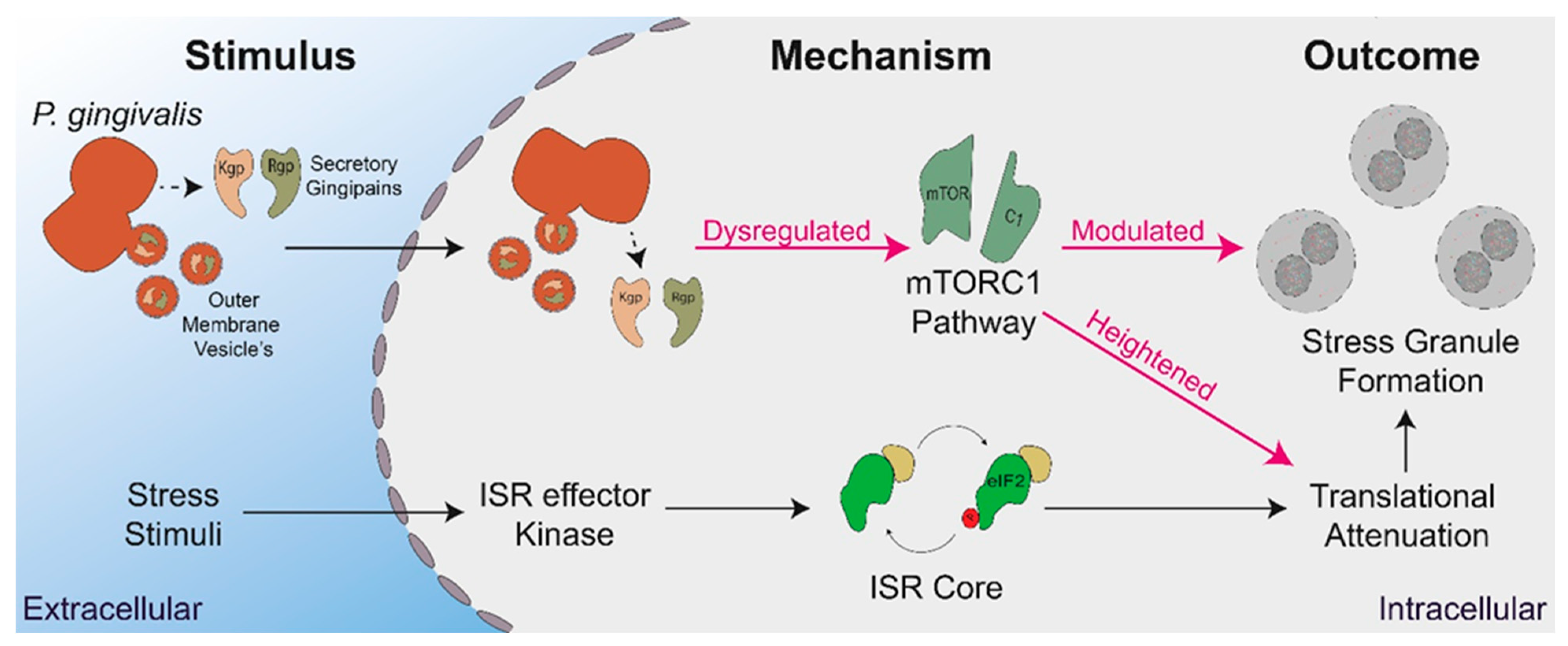 Microorganisms 11 00606 g008