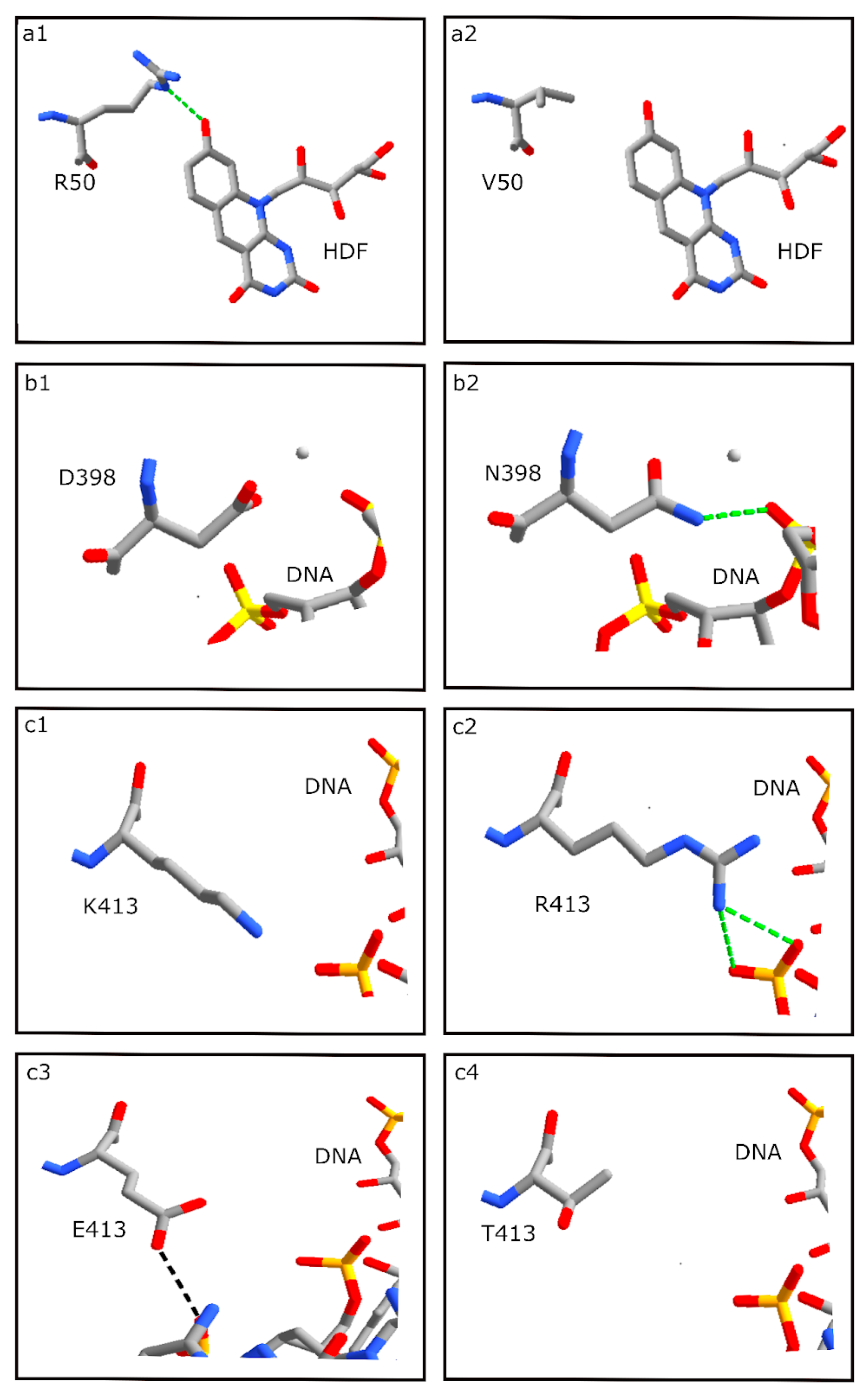 Microorganisms 11 00607 g006 Microorganisms 11 00607 g006