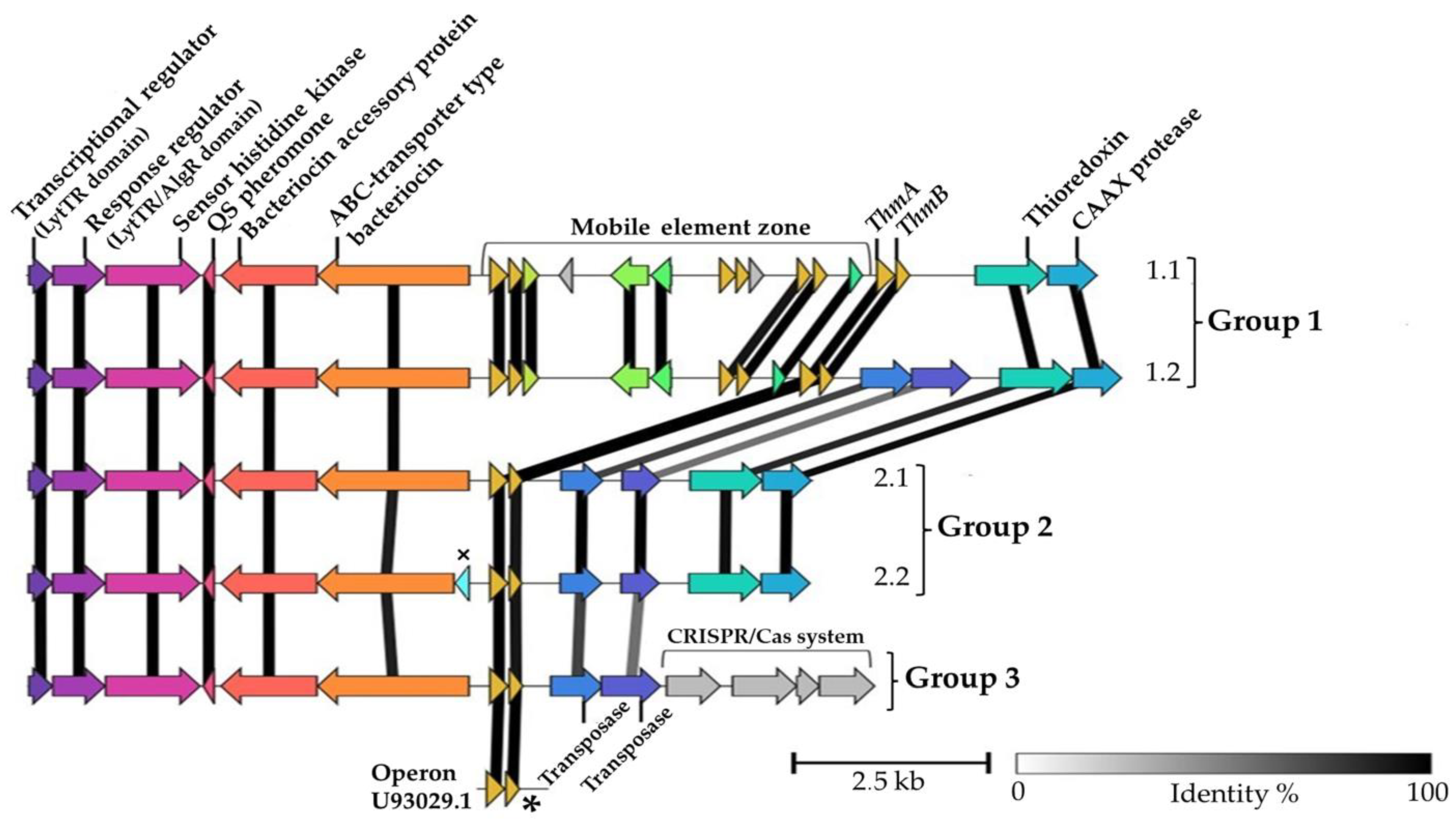 Microorganisms 11 00611 g002 Microorganisms 11 00611 g002