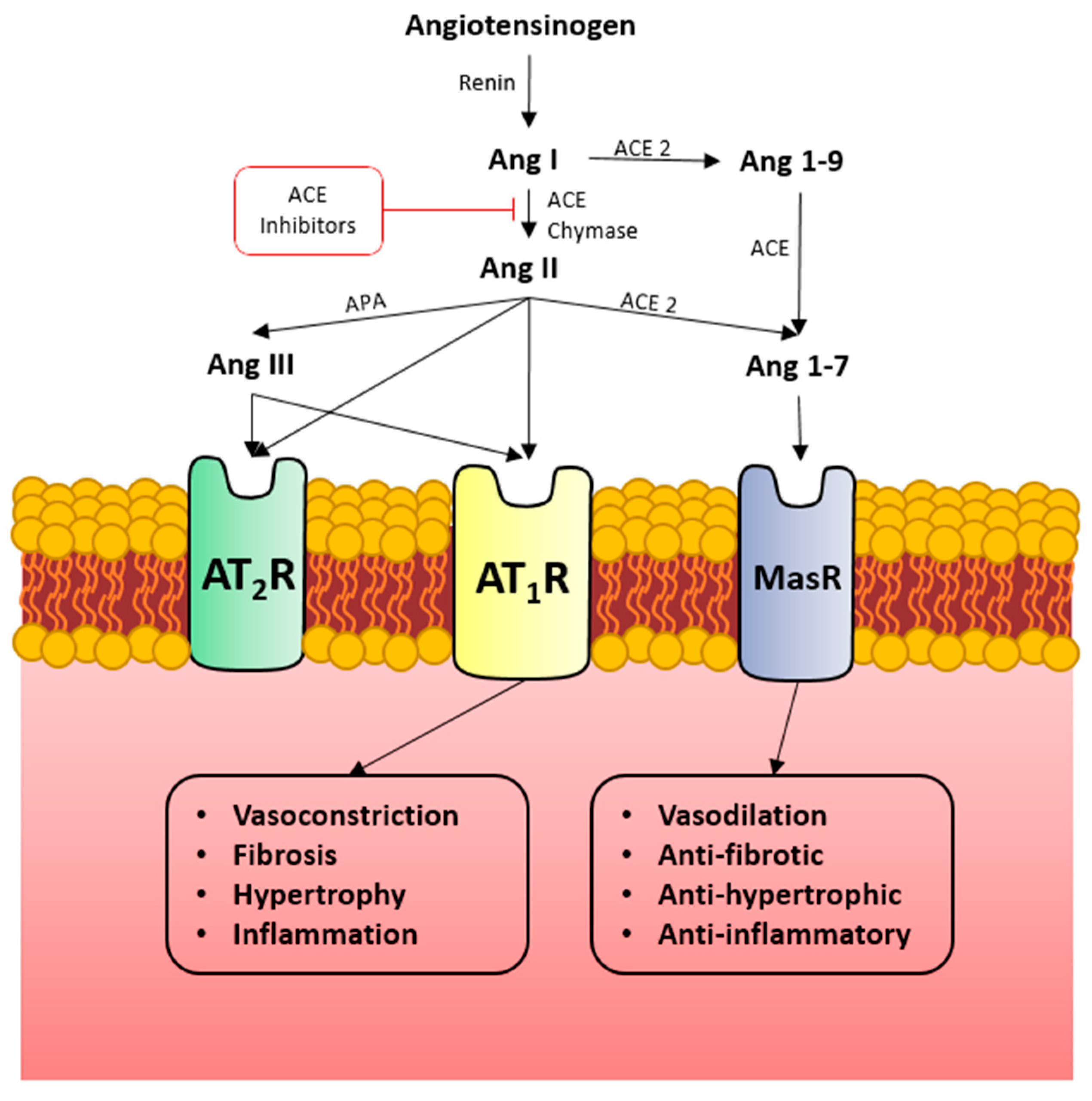 Microorganisms 11 00612 g001 Microorganisms 11 00612 g001