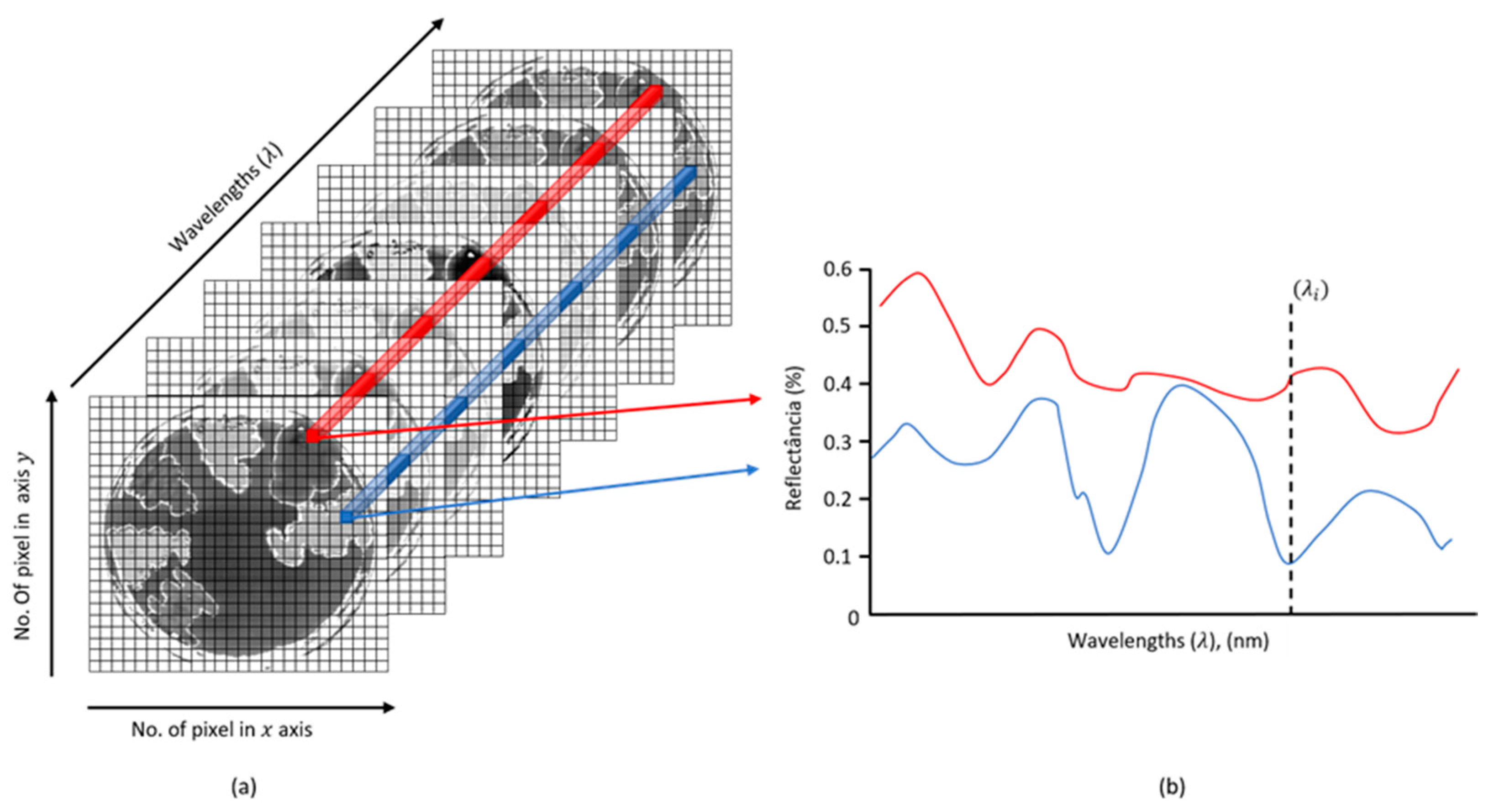 Microorganisms 11 00615 g001 Microorganisms 11 00615 g001