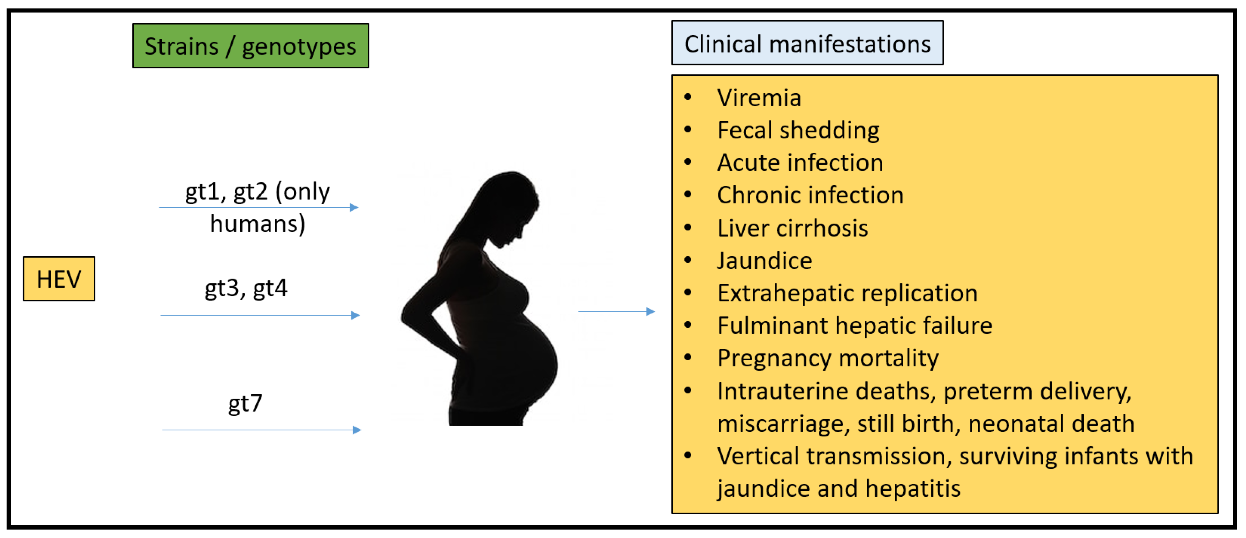 Microorganisms 11 00618 g001 Microorganisms 11 00618 g001