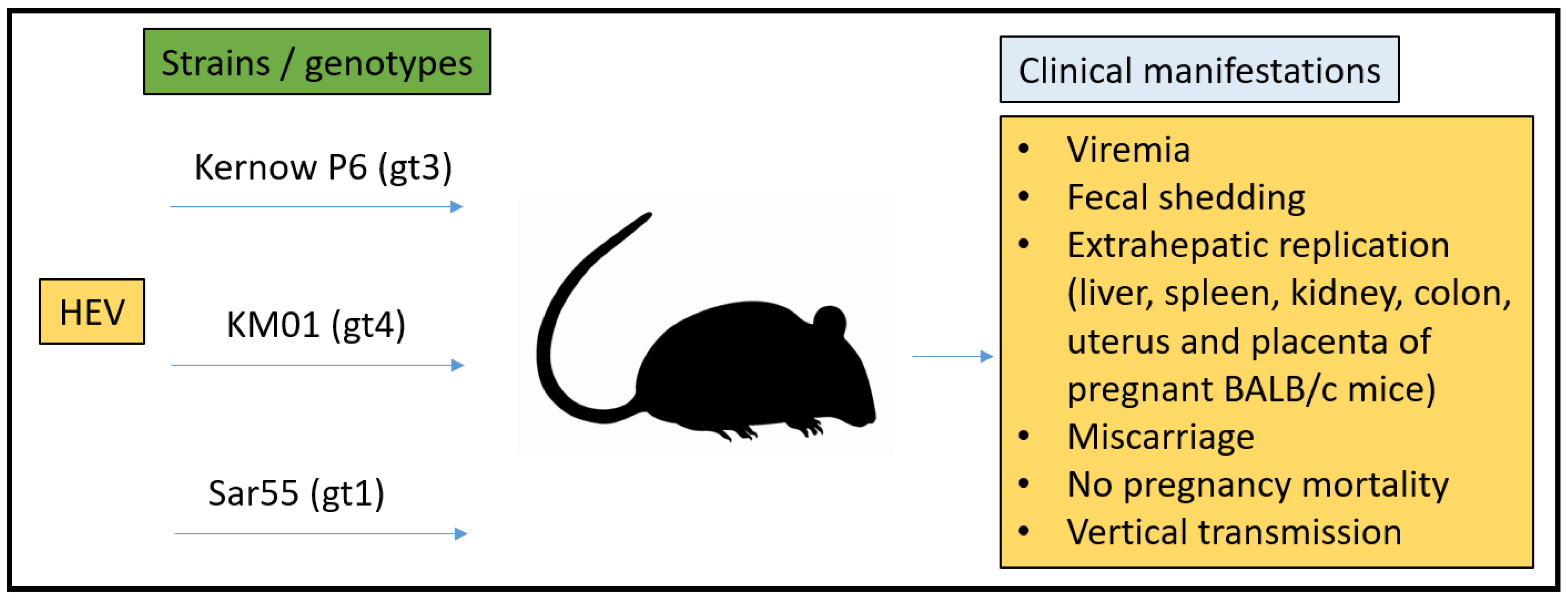 Microorganisms 11 00618 g004 Microorganisms 11 00618 g004