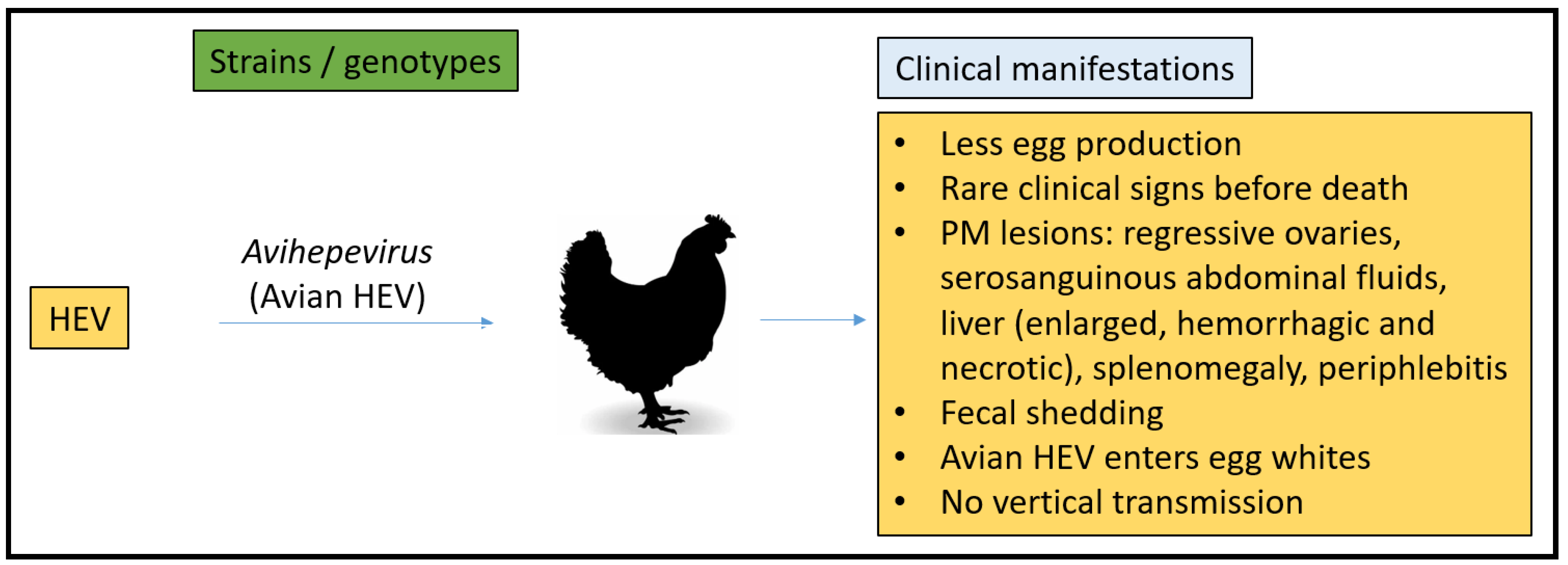 Microorganisms 11 00618 g006 Microorganisms 11 00618 g006