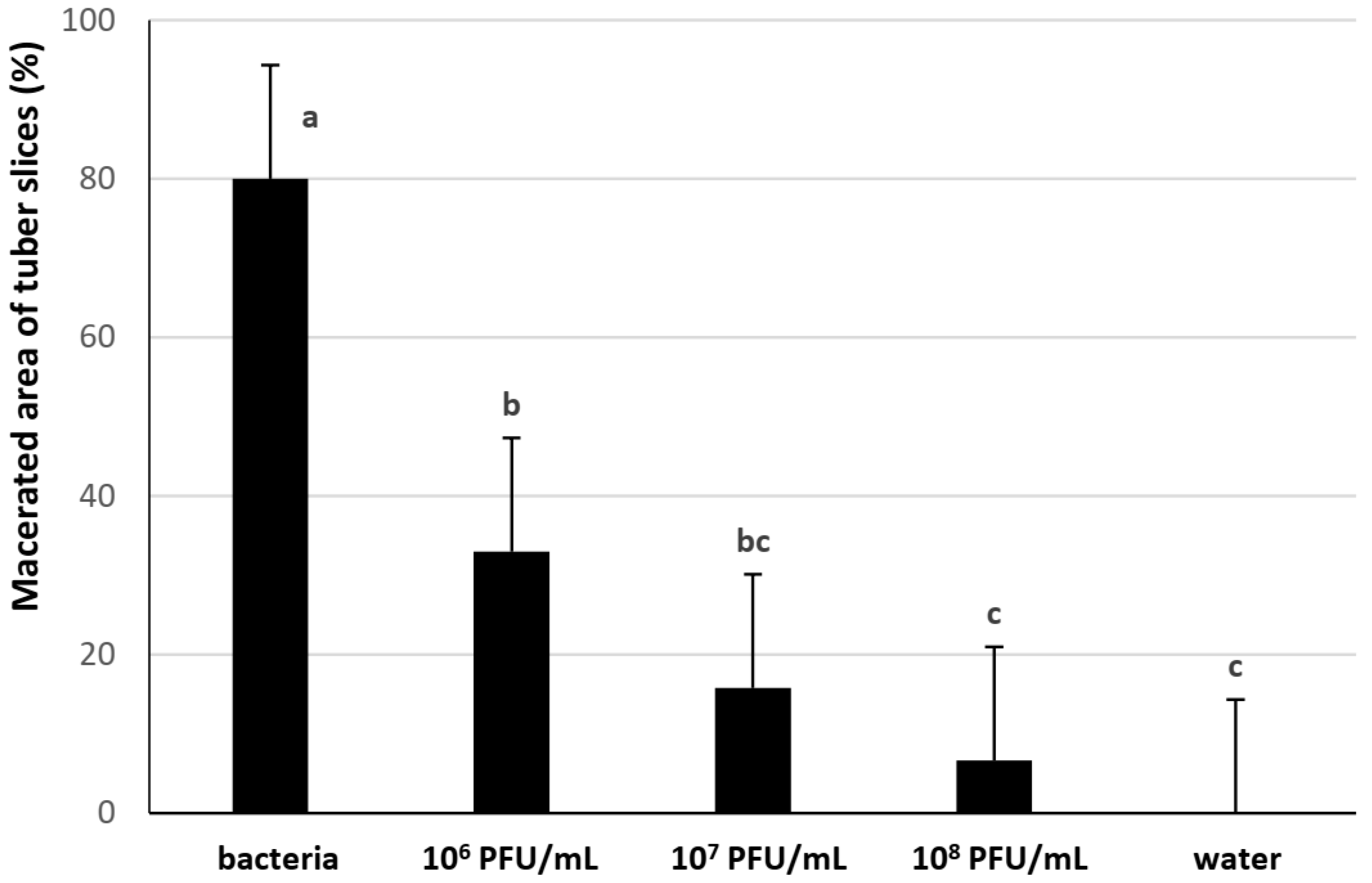 Microorganisms 11 00620 g001