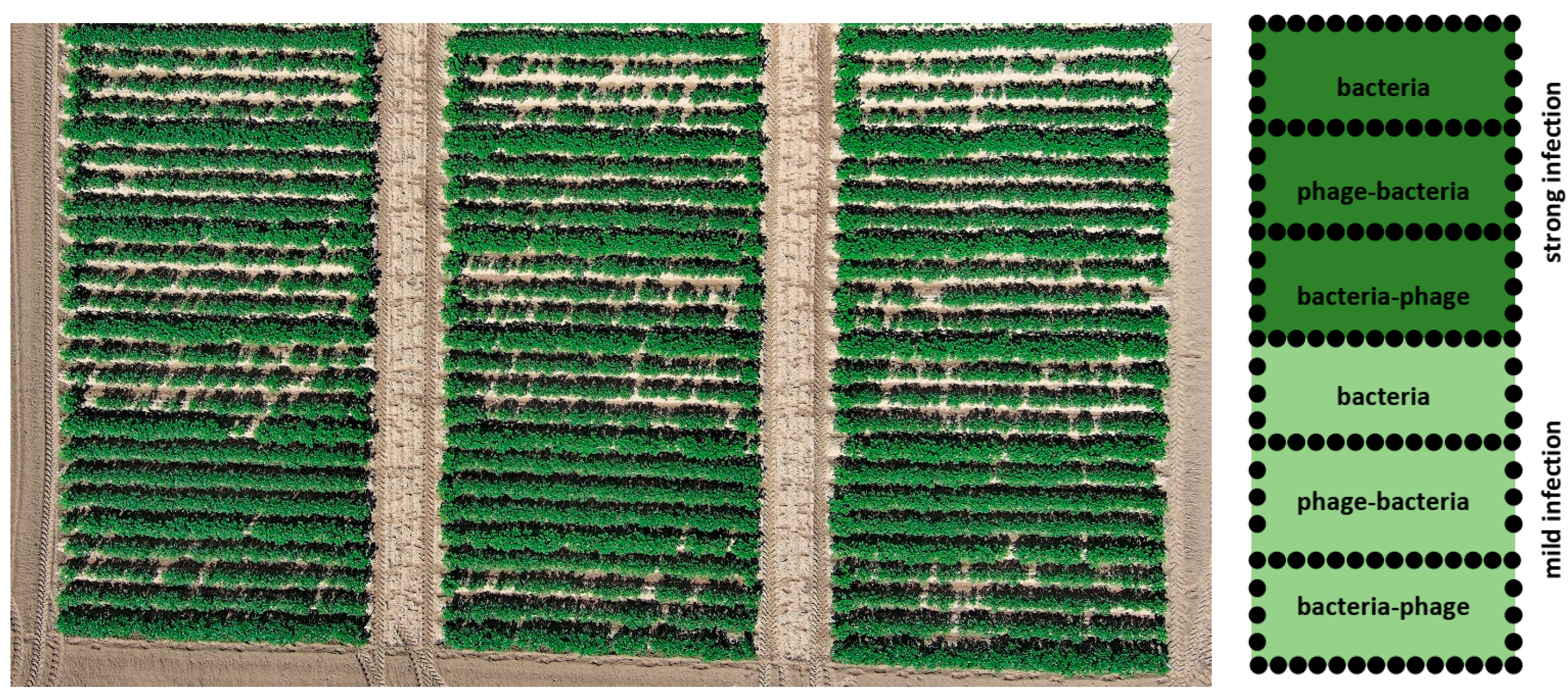 Microorganisms 11 00620 g003