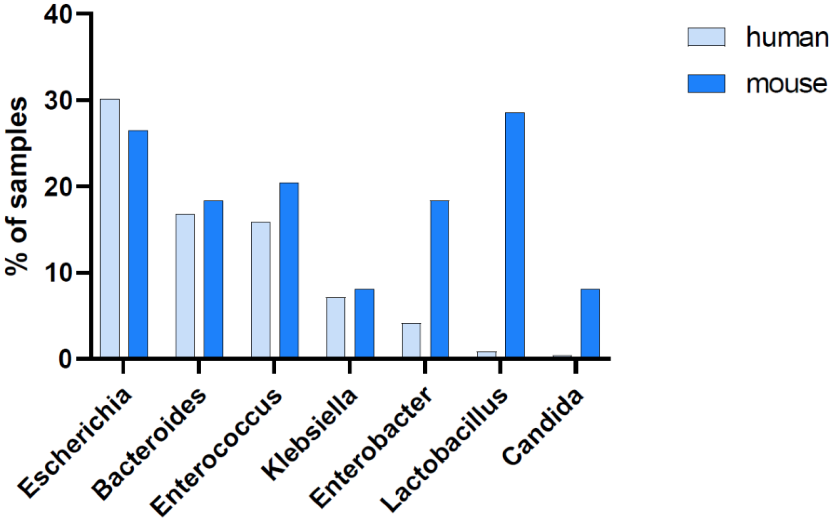 Microorganisms 11 00627 g006 Microorganisms 11 00627 g006