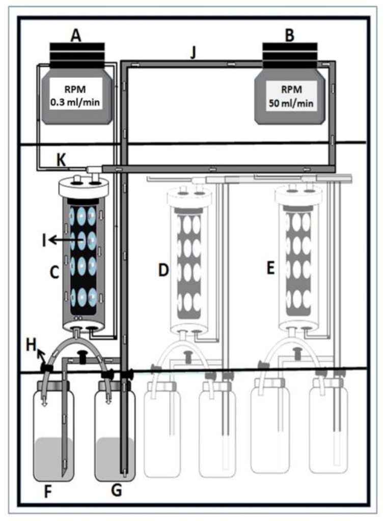 Microorganisms 11 00628 g001