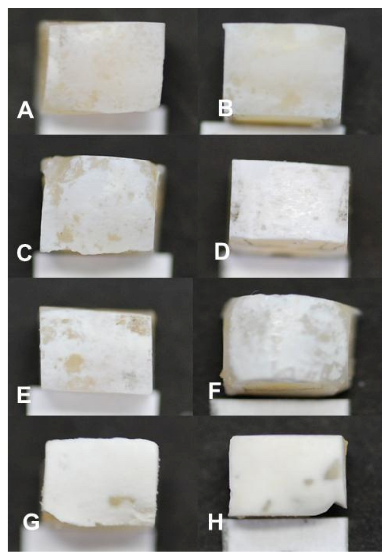 Microorganisms 11 00628 g002