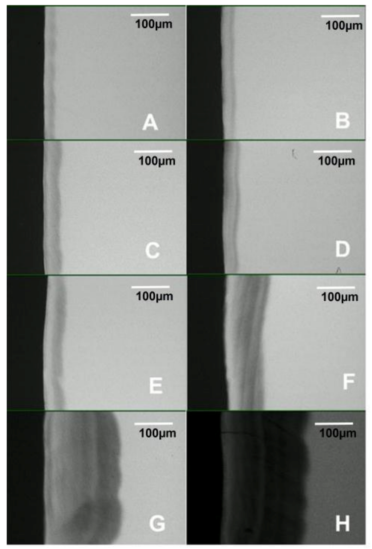 Microorganisms 11 00628 g004