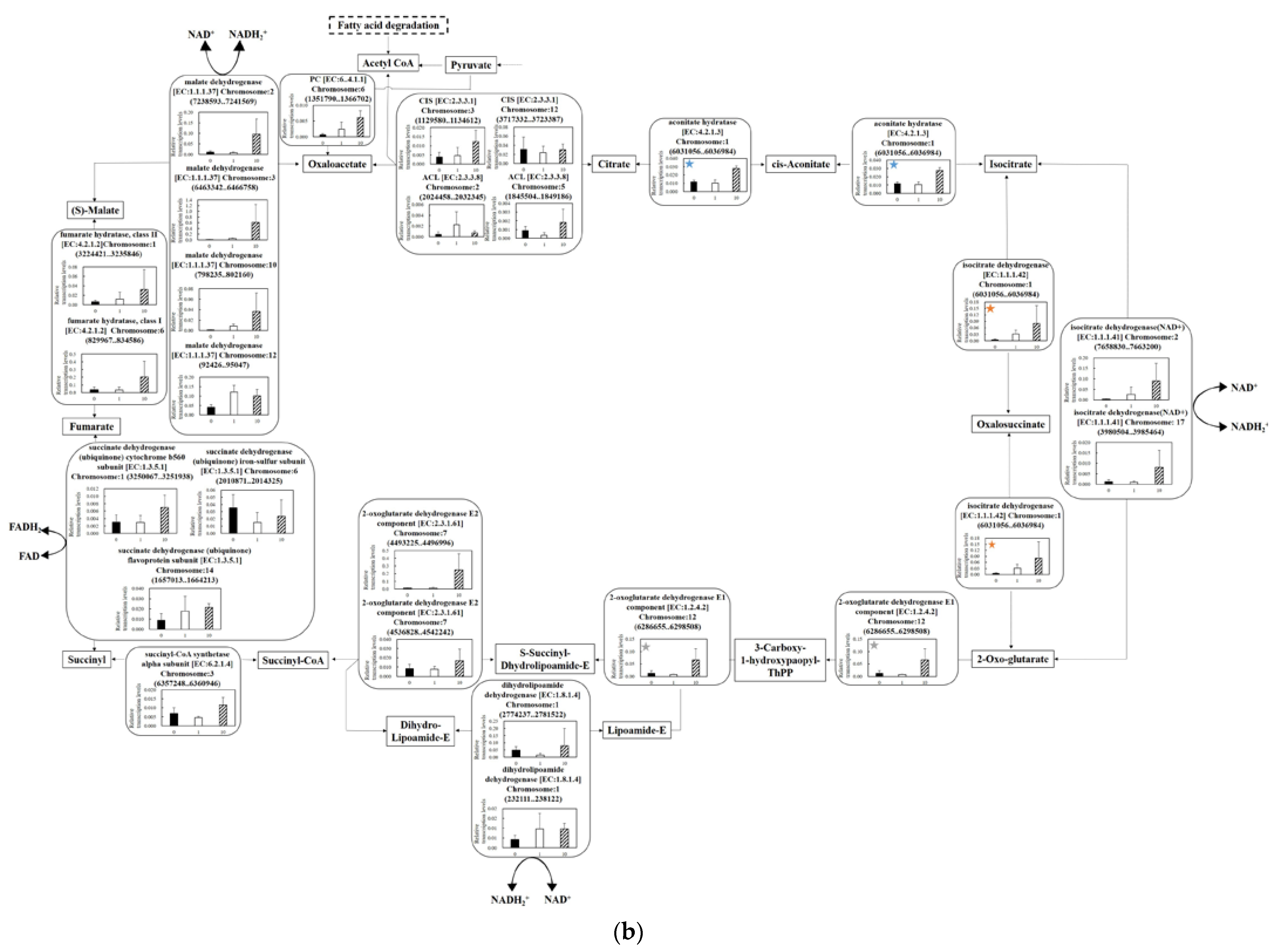Microorganisms 11 00633 g005b