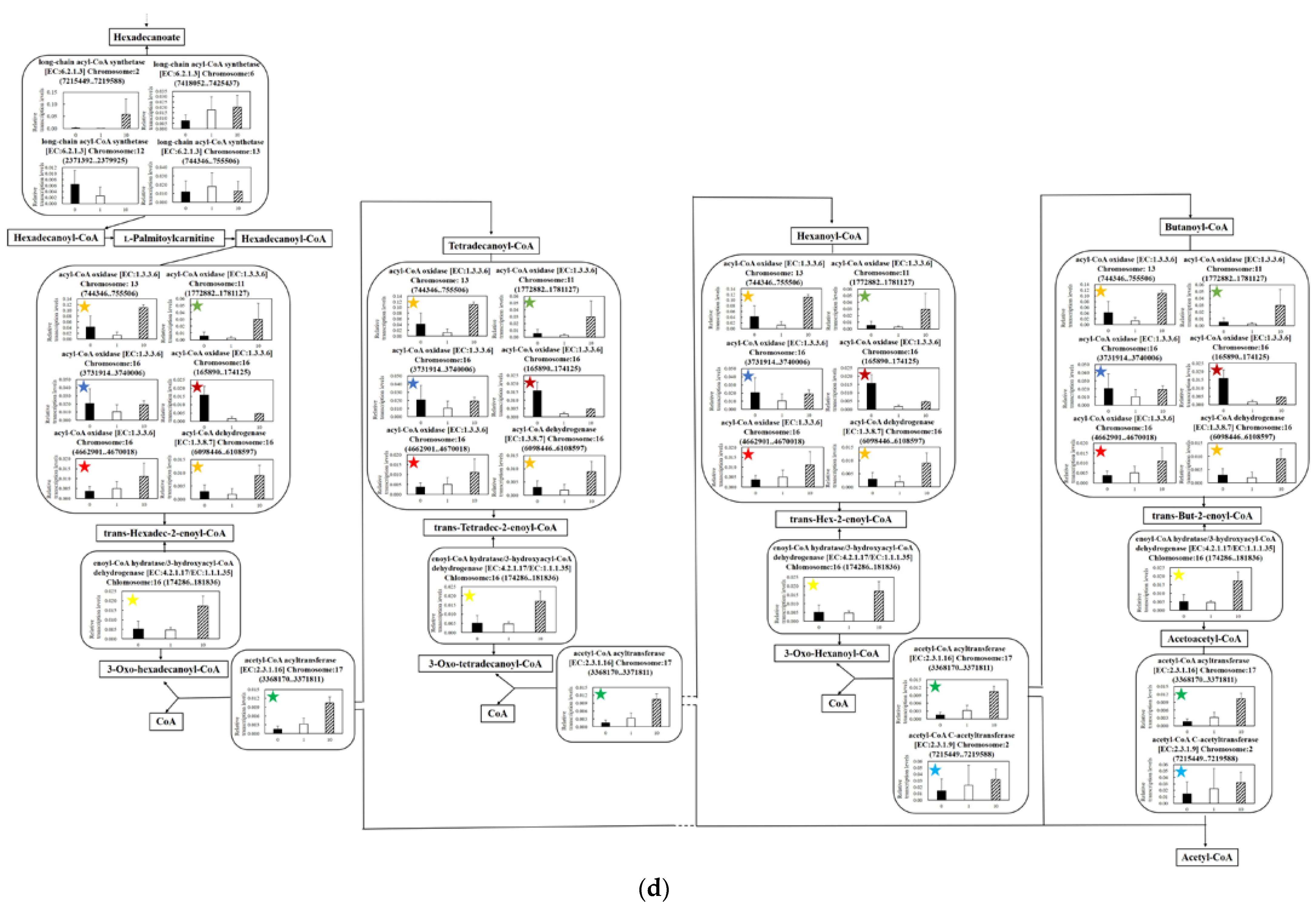 Microorganisms 11 00633 g005d
