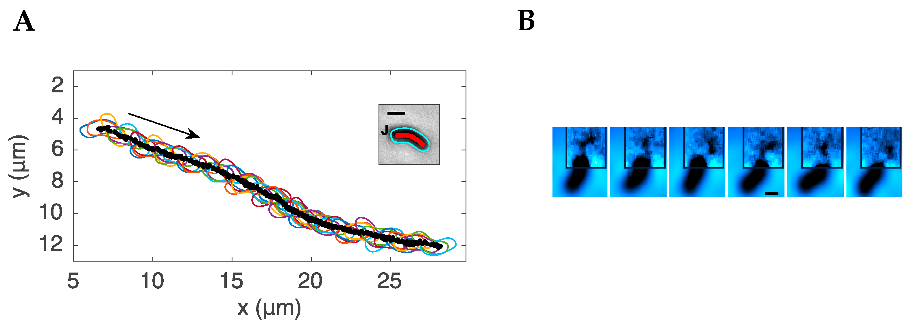 Microorganisms 11 00634 g002